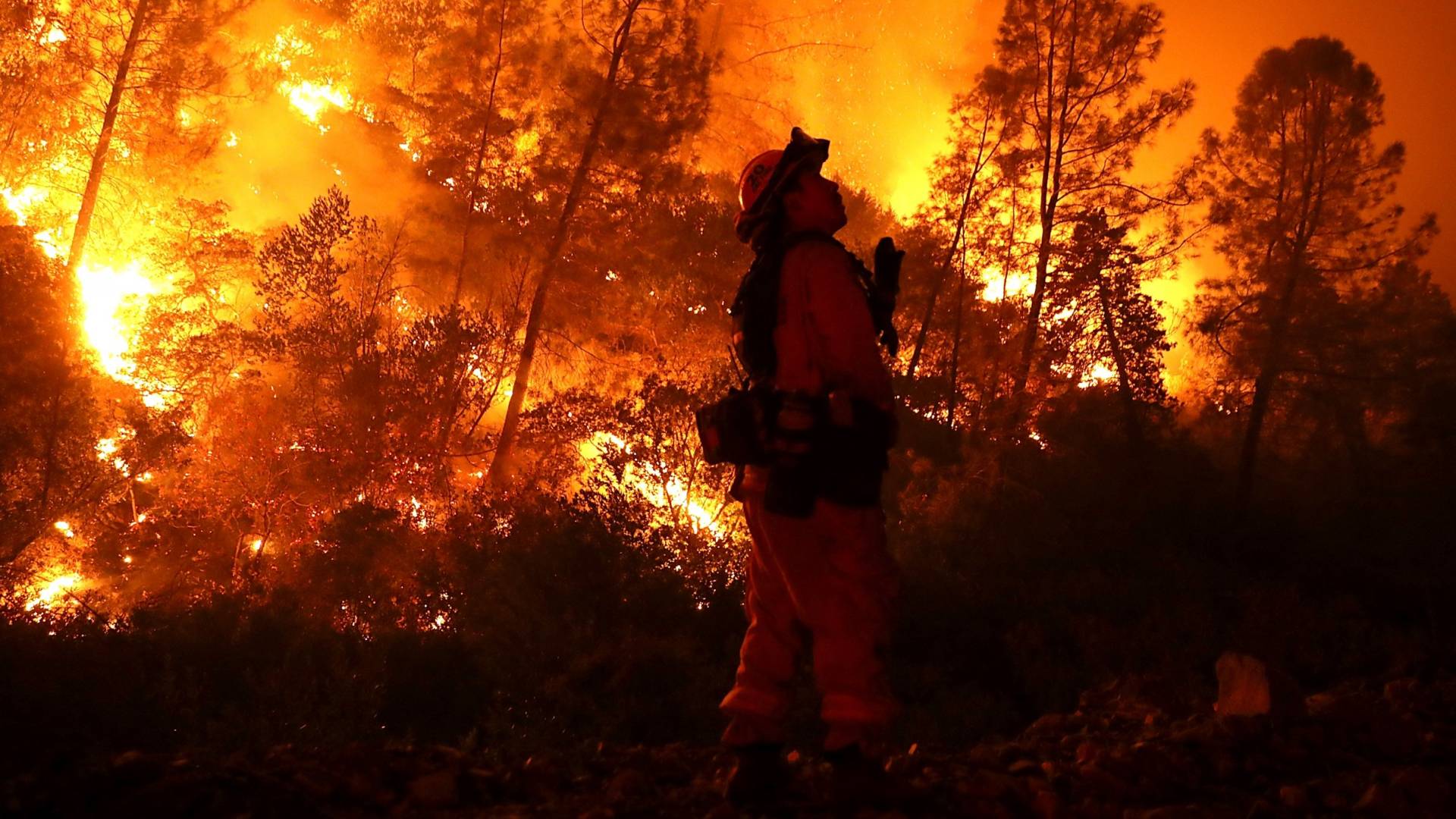 حرائق في أمريكا - أرشيفية