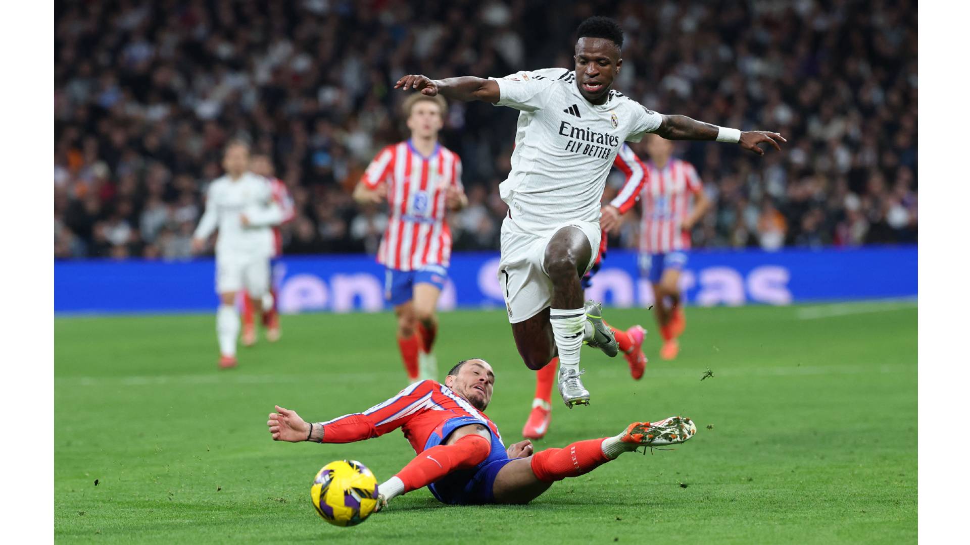 فينيسوس جونيور