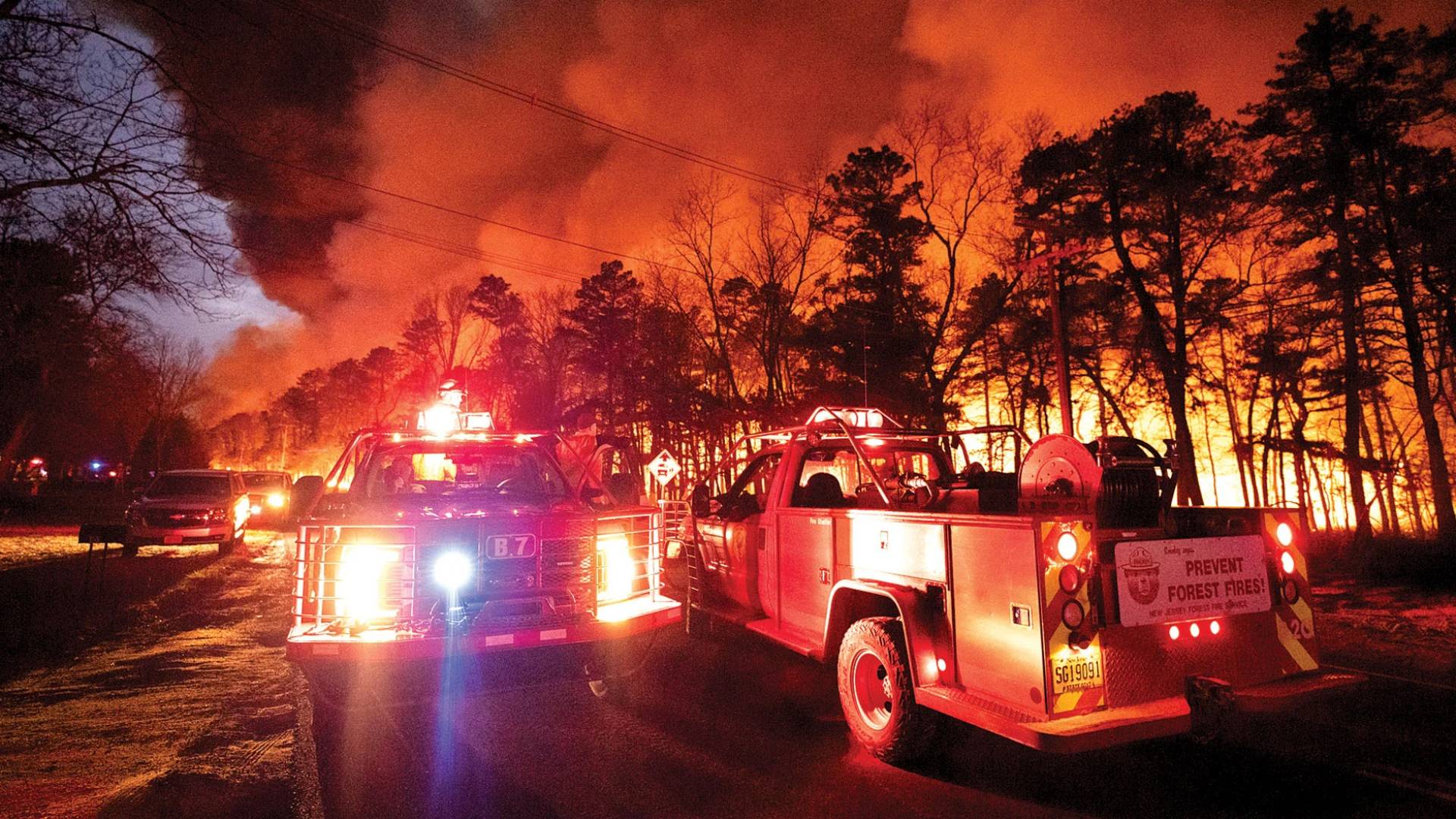 حرائق غابات