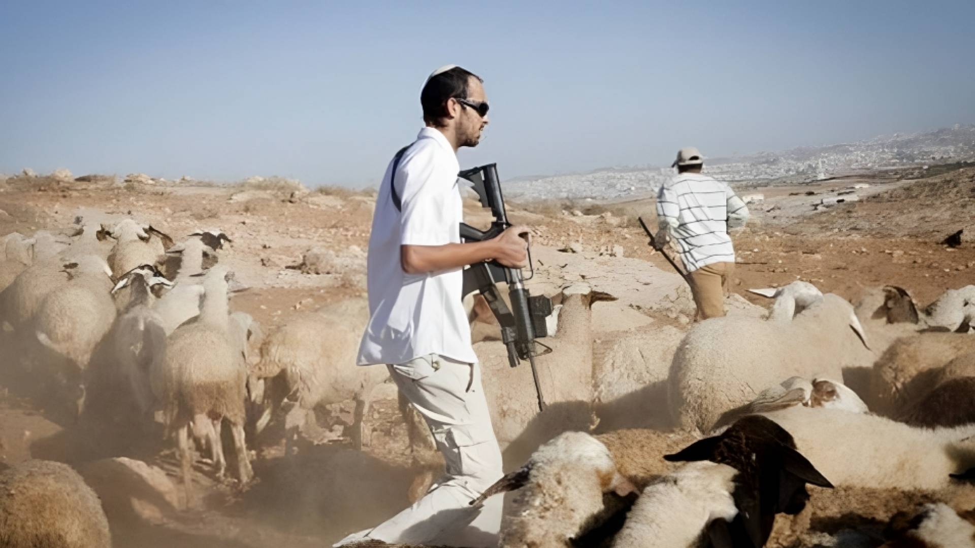 مستوطنون يهاجمون رعاة الأغنام
