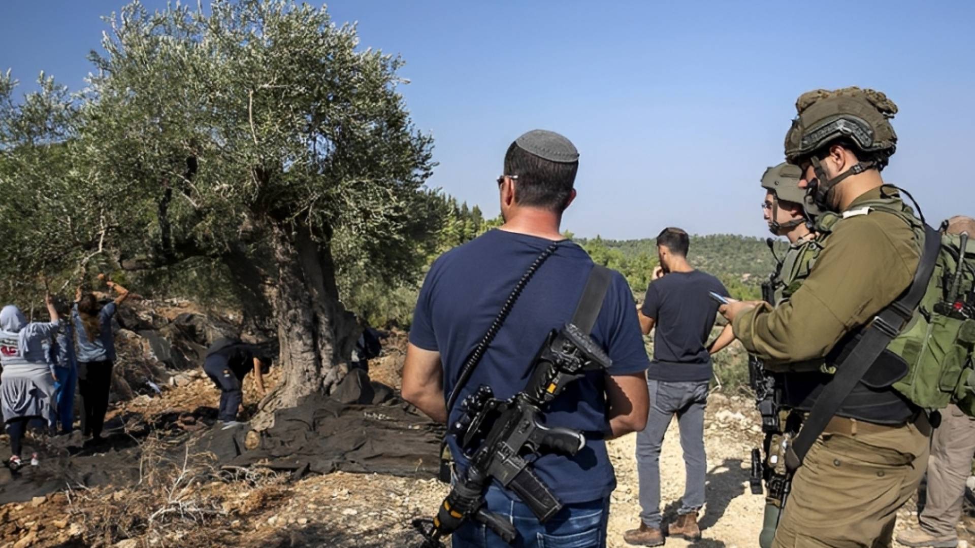 عدوان مستوطنين بحماية الاحتلال