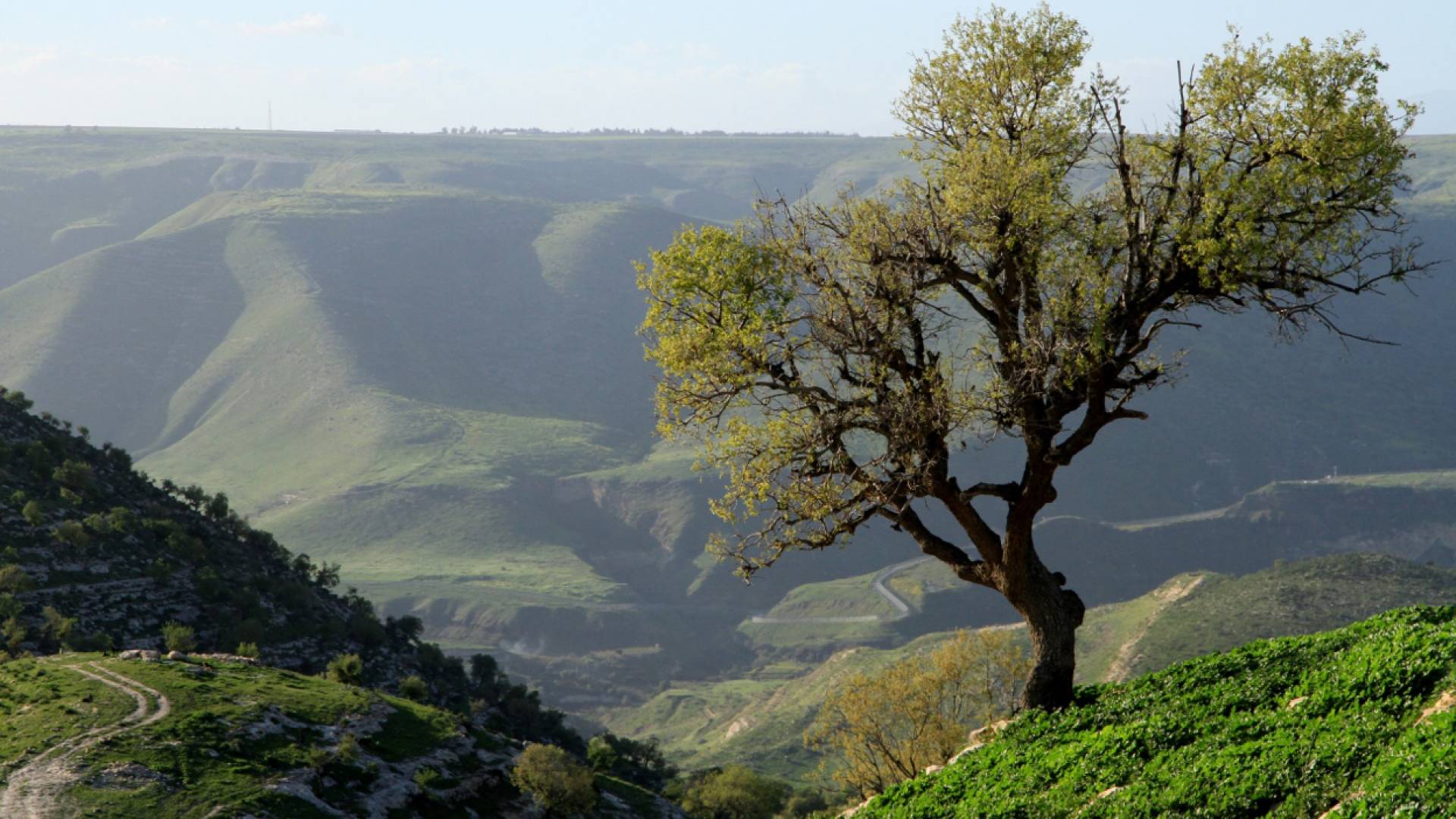 الطبيعة في الأردن