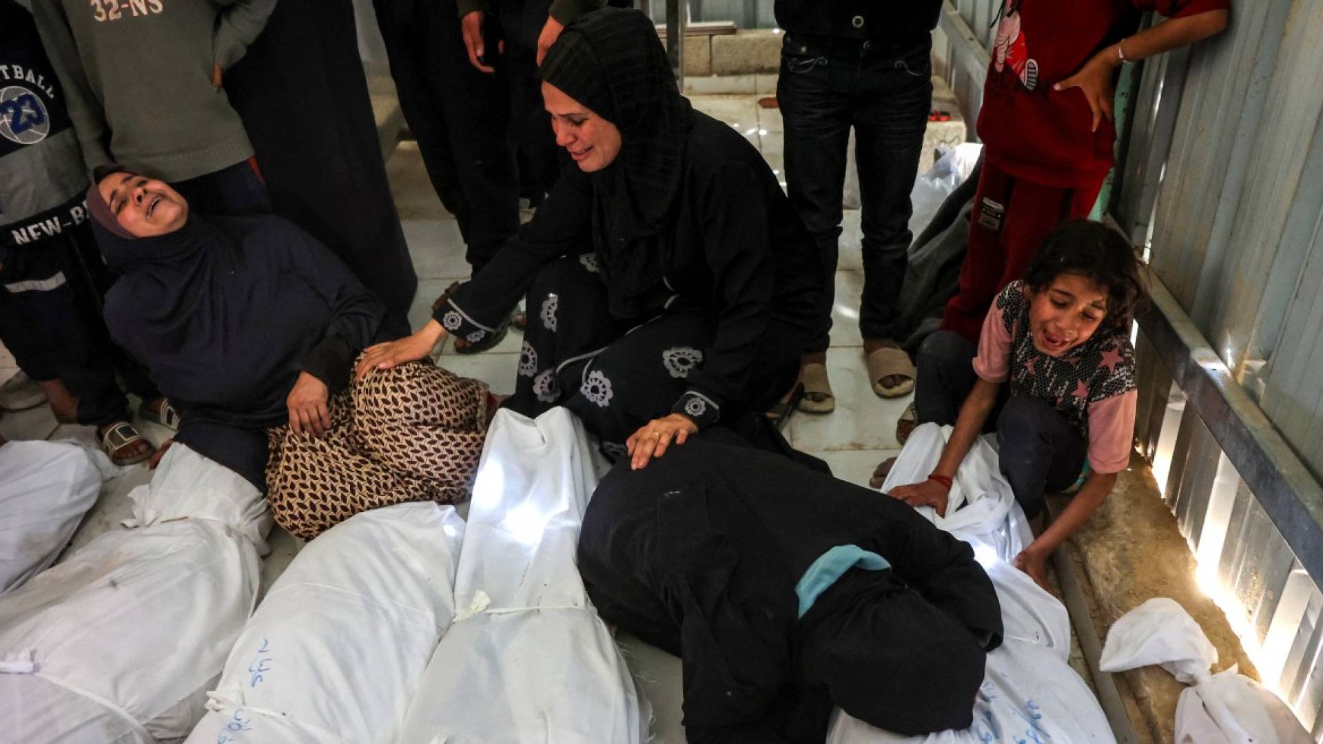 شهداء في غزة