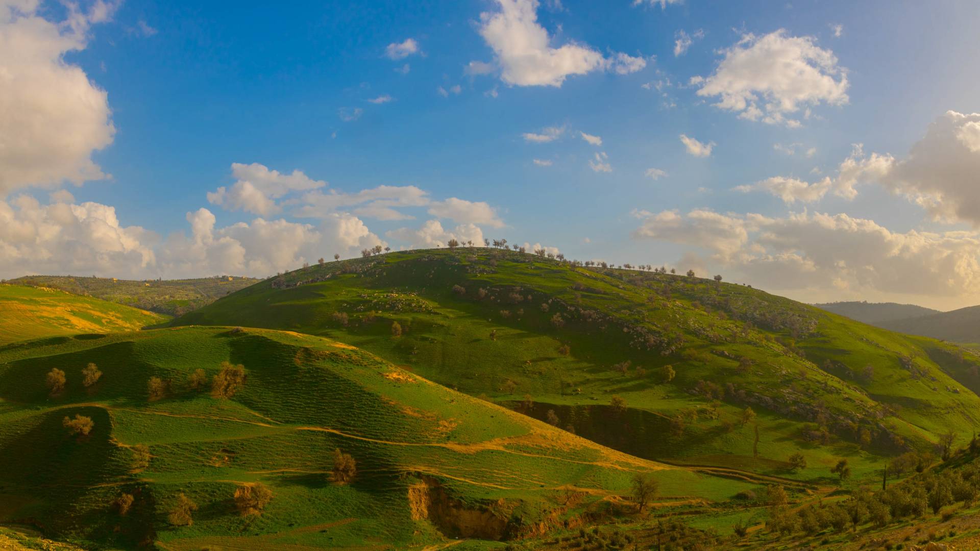 أم النمل - إربد