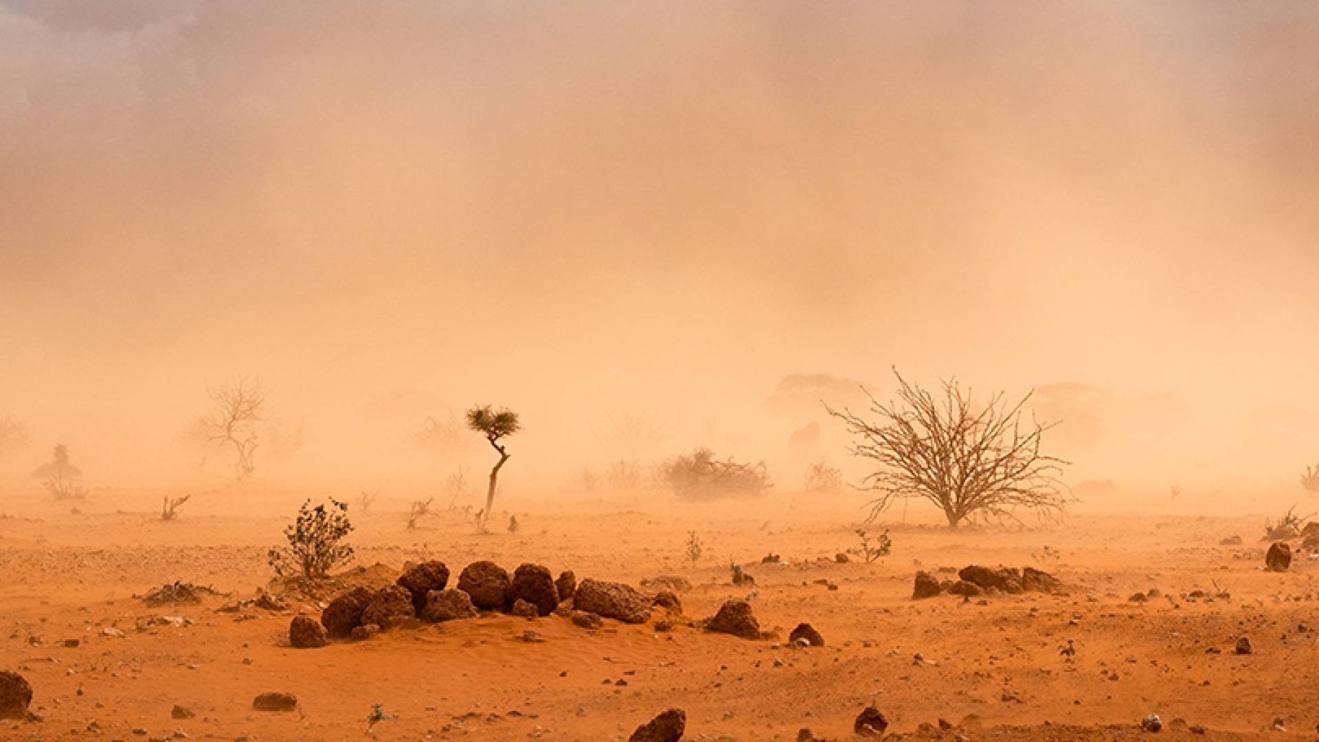 أجواء مغبرة - تعبيرية