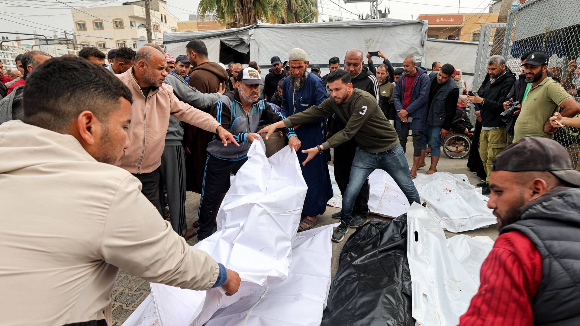 شهداء في قطاع غزة