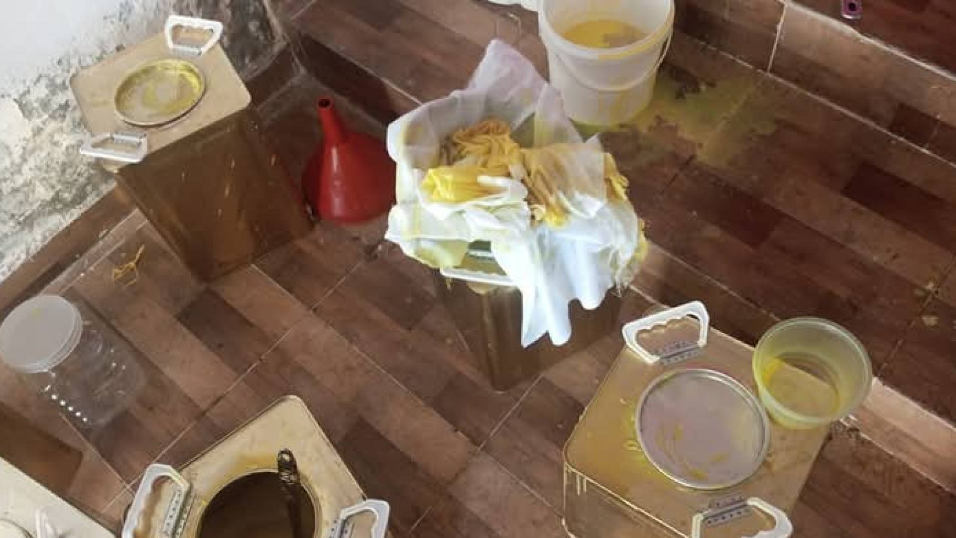 صورة من داخل المعمل