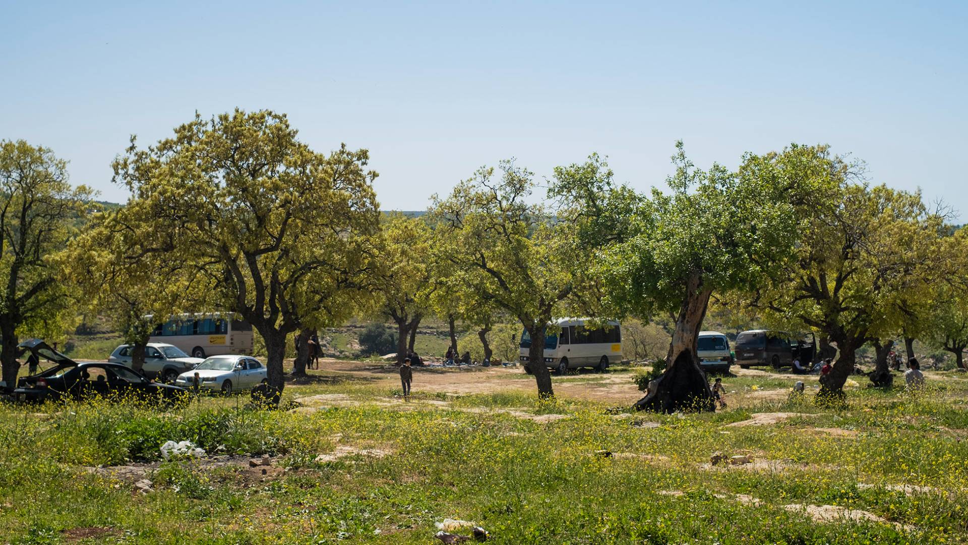متنزهون في الأردن - تعبيرية