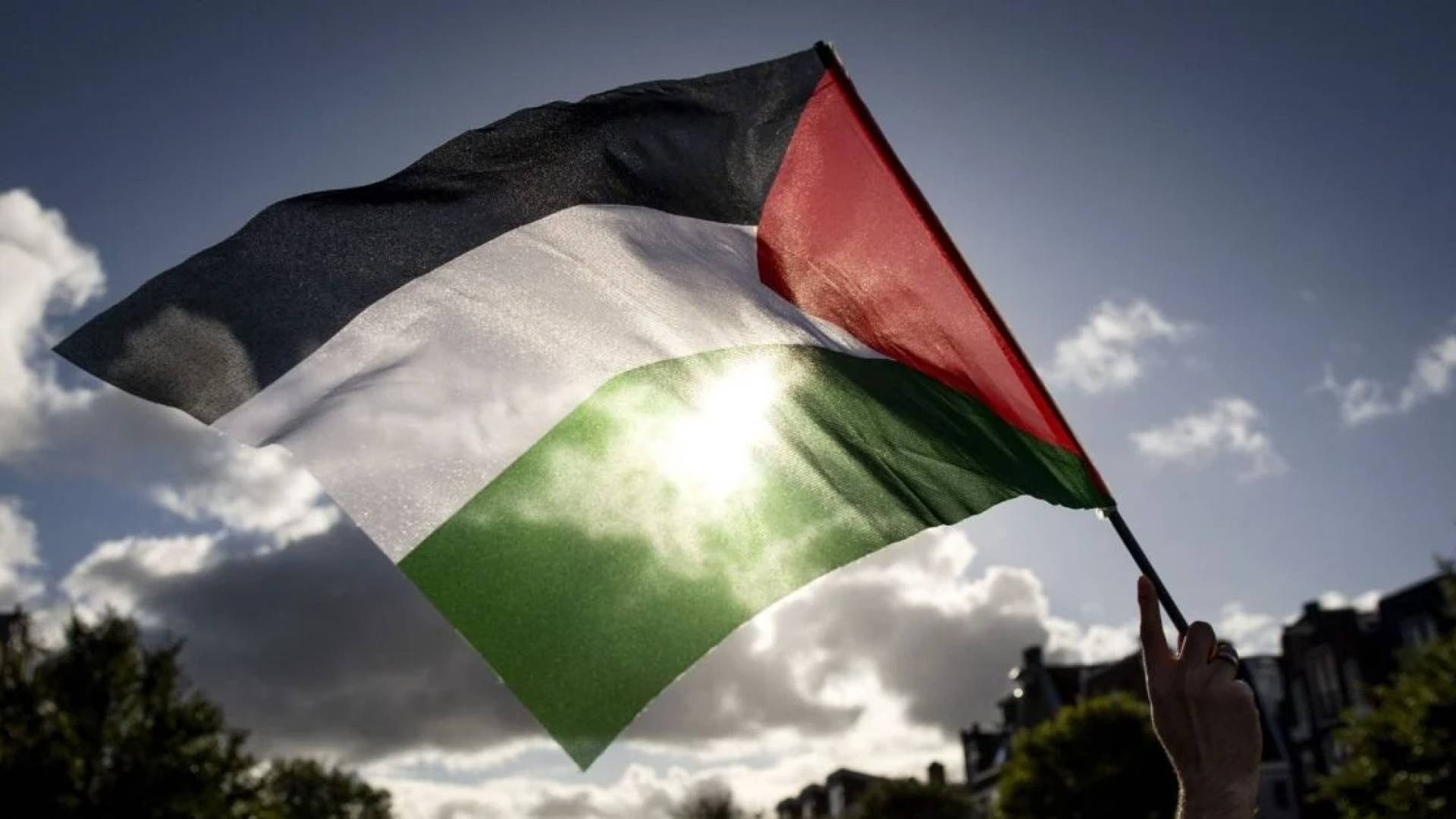 العلم الفلسطيني