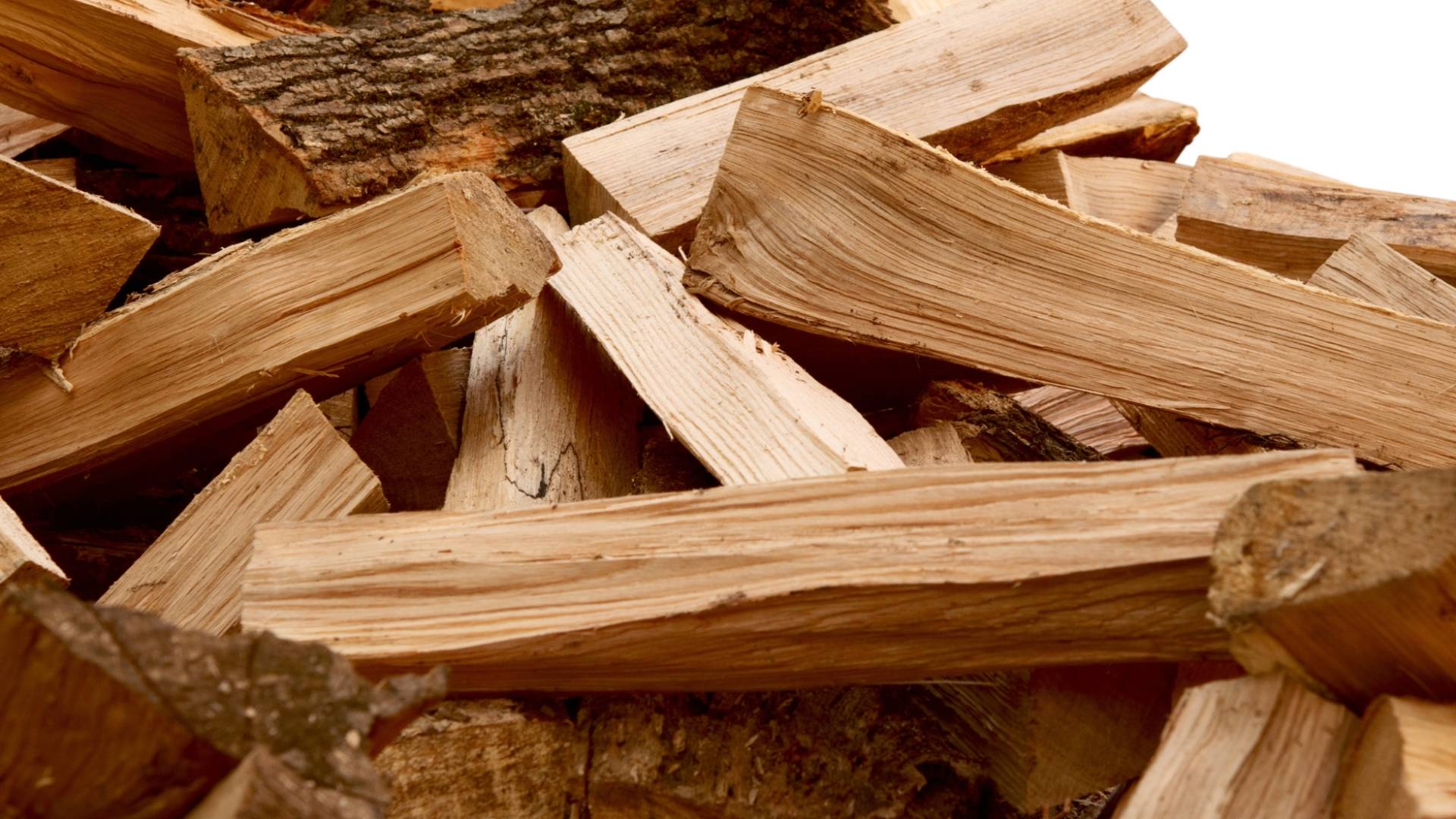 جذوع أشجار مقطعة "أرشيفية"