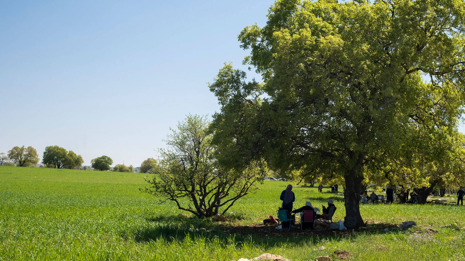 التنزه في الأردن - تعبيرية