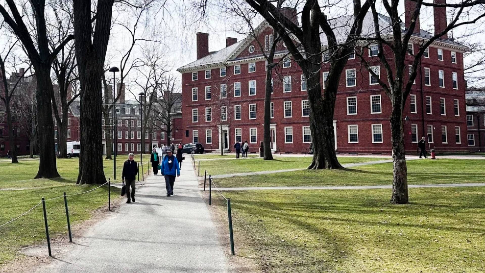 جانب من جامعة هارفارد