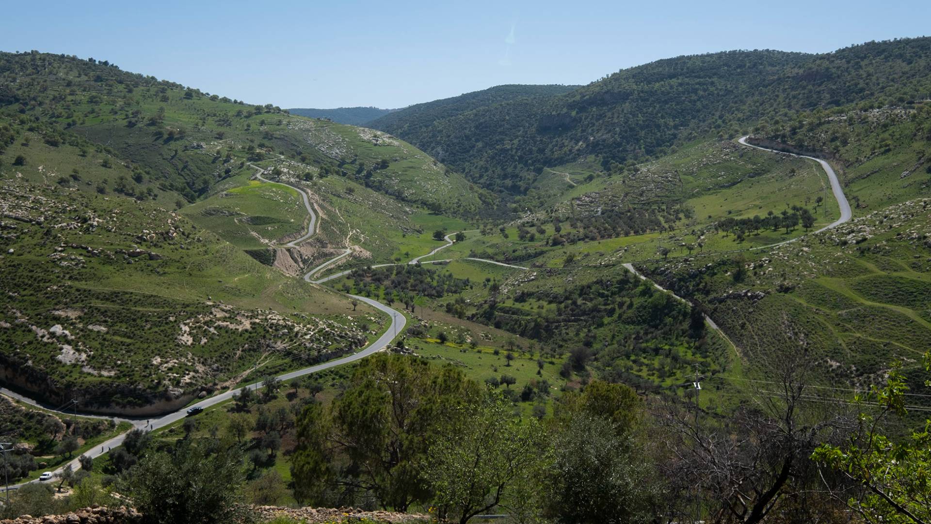 وادي النوم  - عجلون