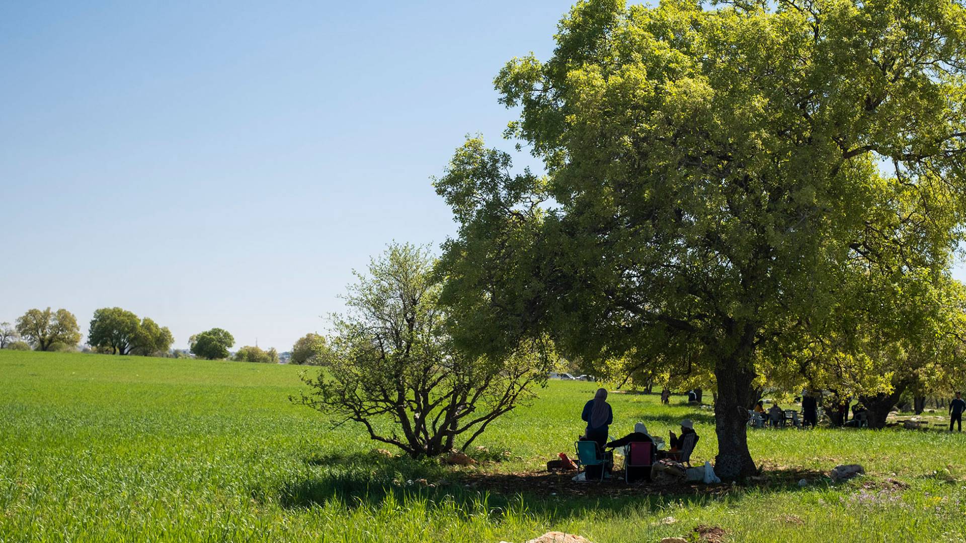 الدفاع المدني يوجه إرشادات للأردنيين لتنزه آمن