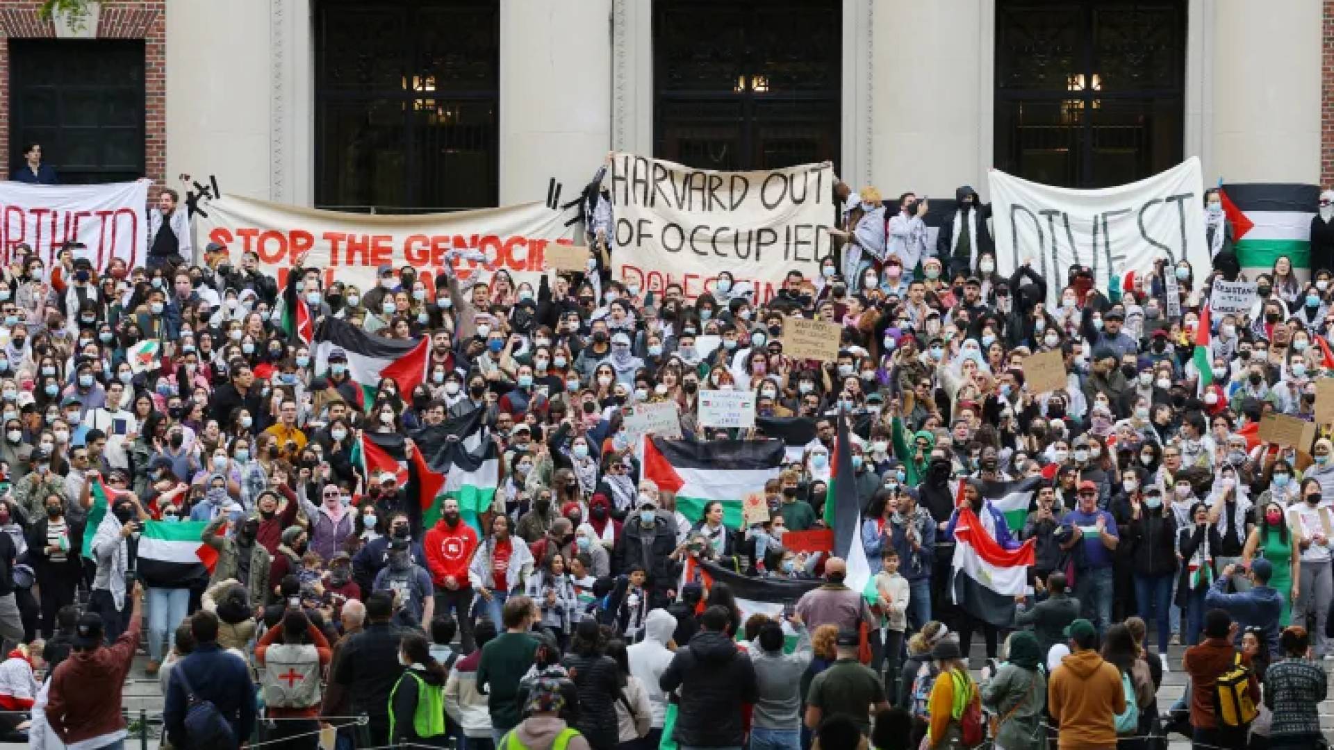 جامعة هارفارد الأمريكية