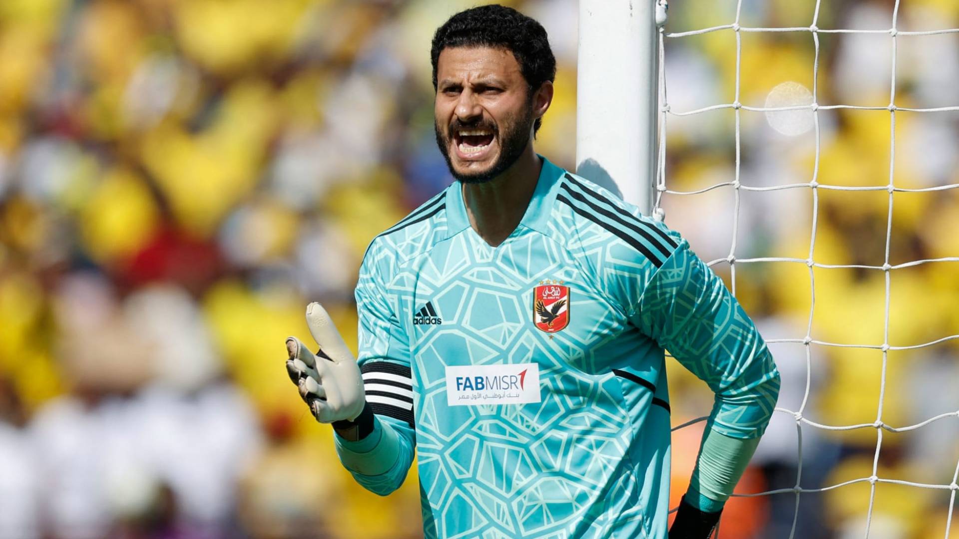 محمد الشناوي