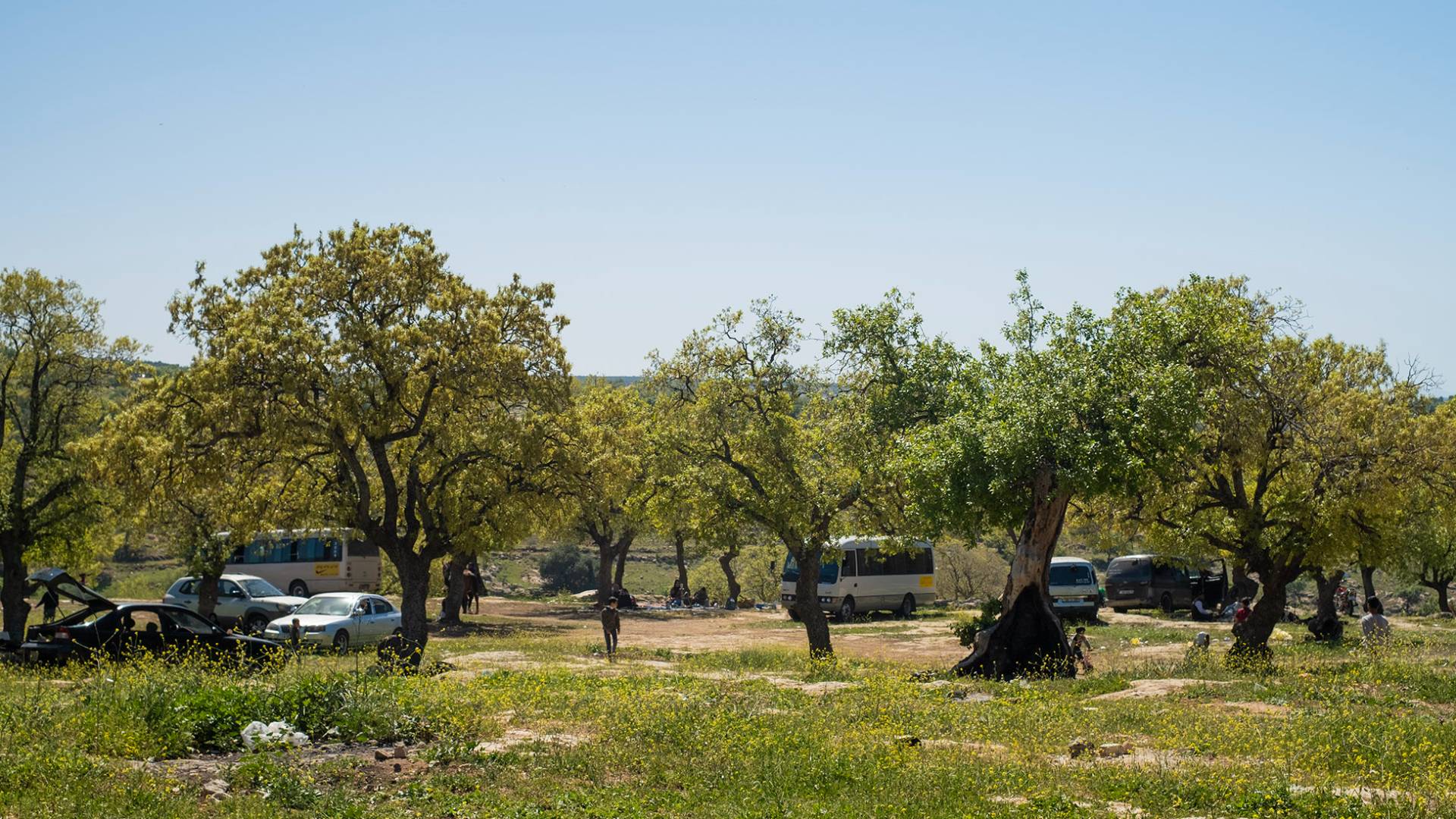 التنزه في الأردن - تعبيرية