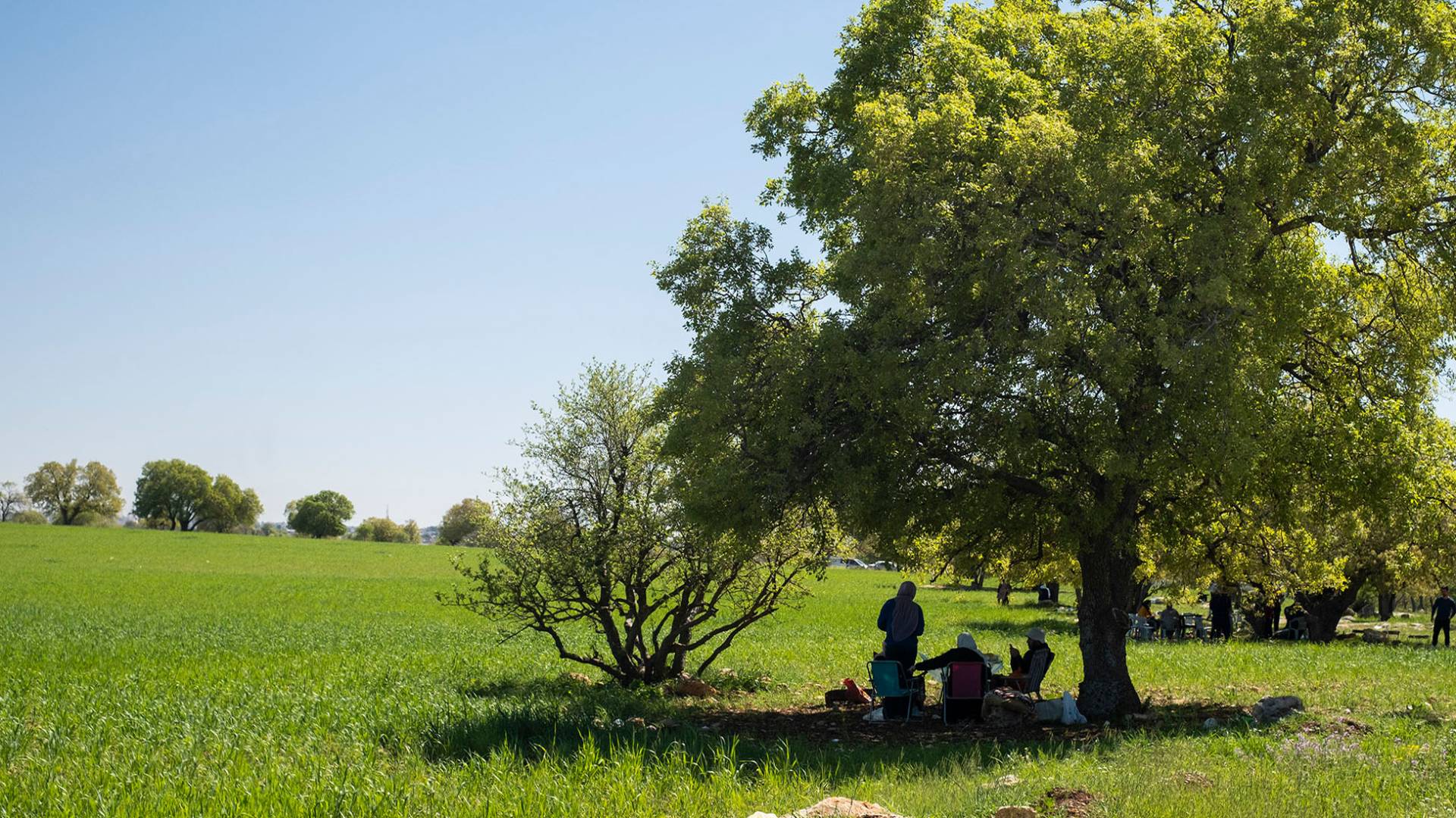 التنزه في الأردن - تعبيرية