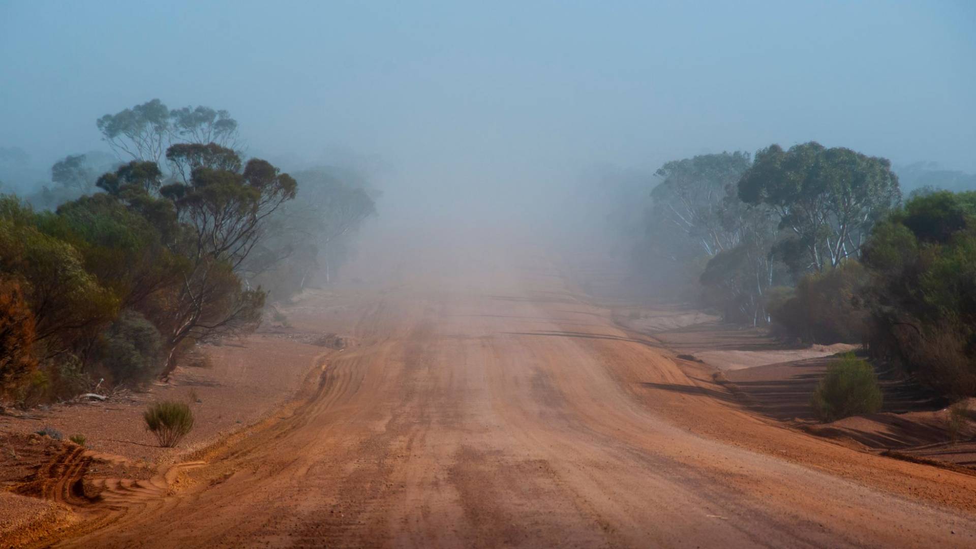 صورة تظهر أجواء مغبرة