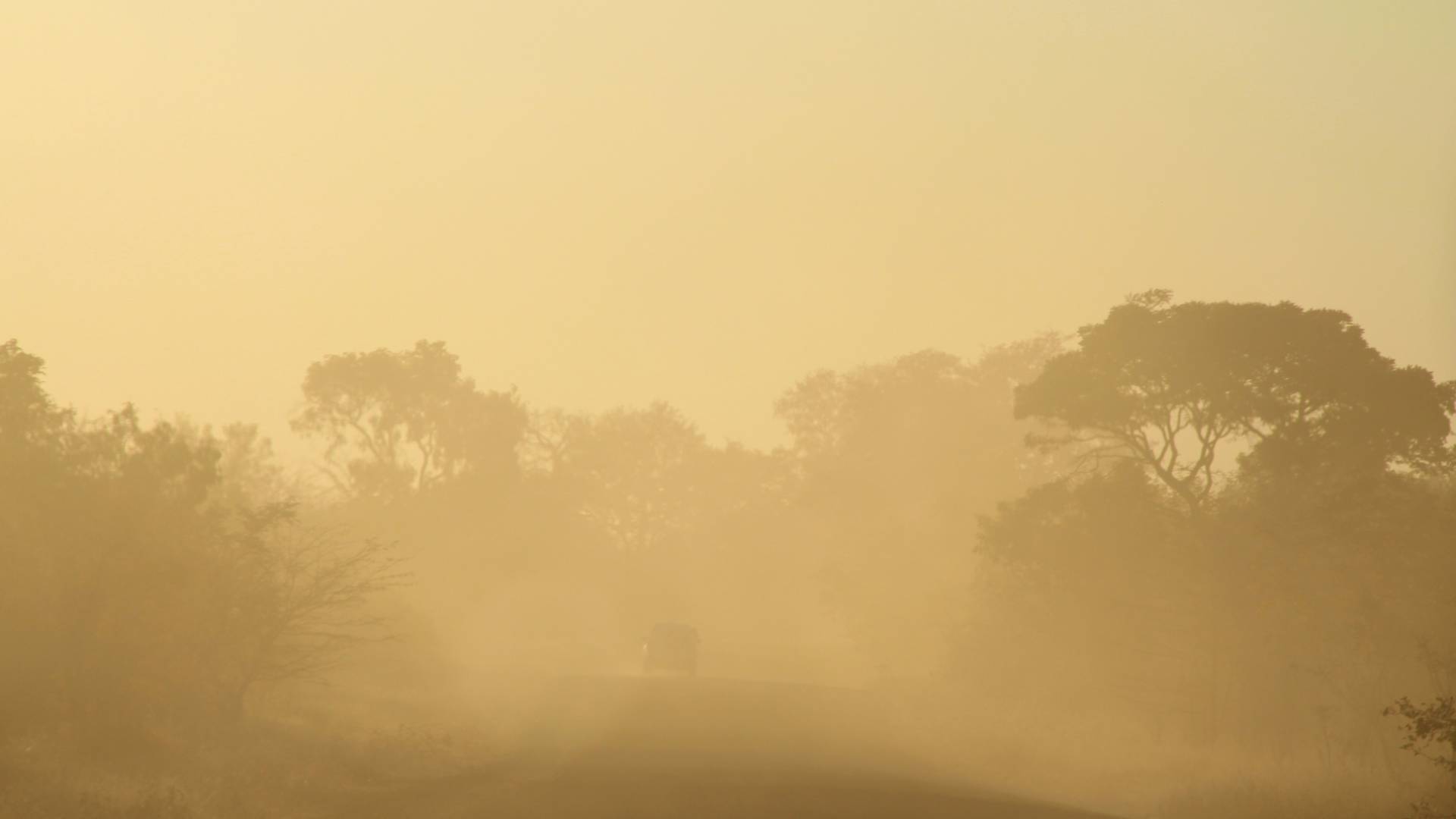 أجواء مغبرة "أرشيفية"