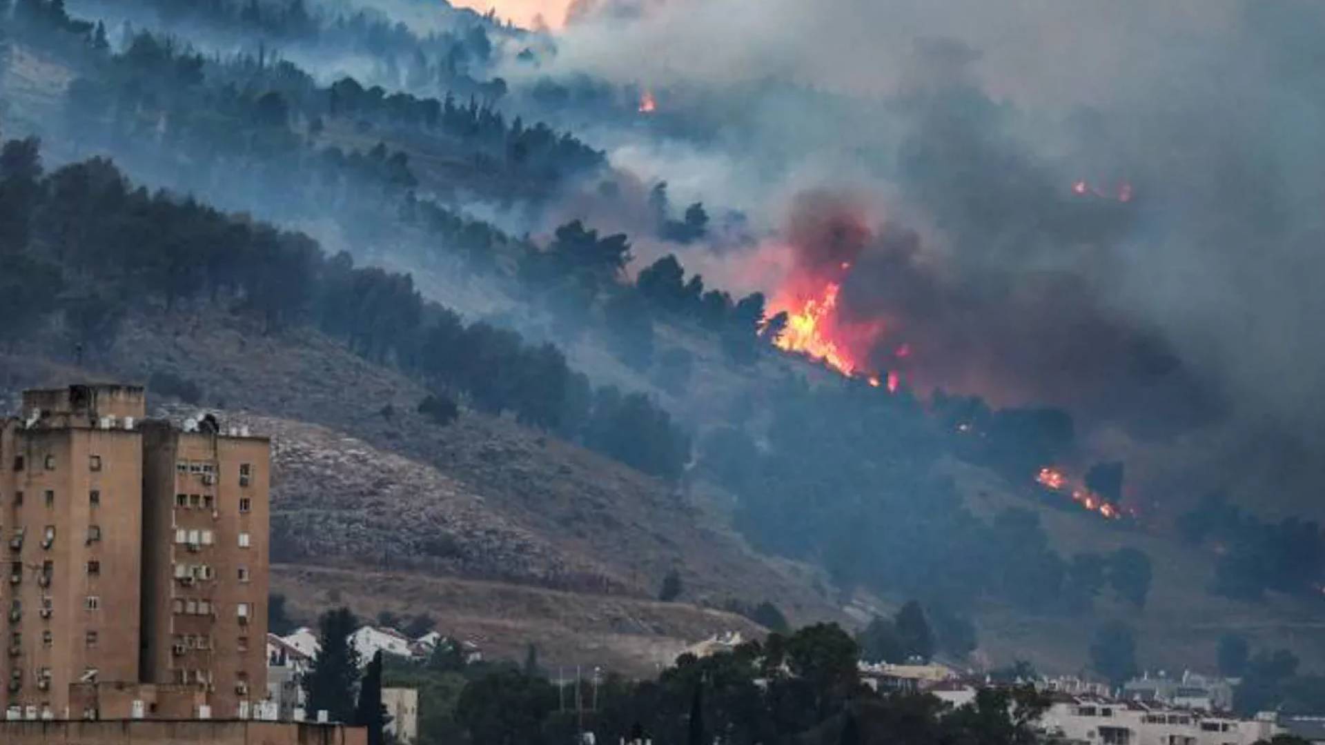 حرائق تلتهم أحراش جبال القدس