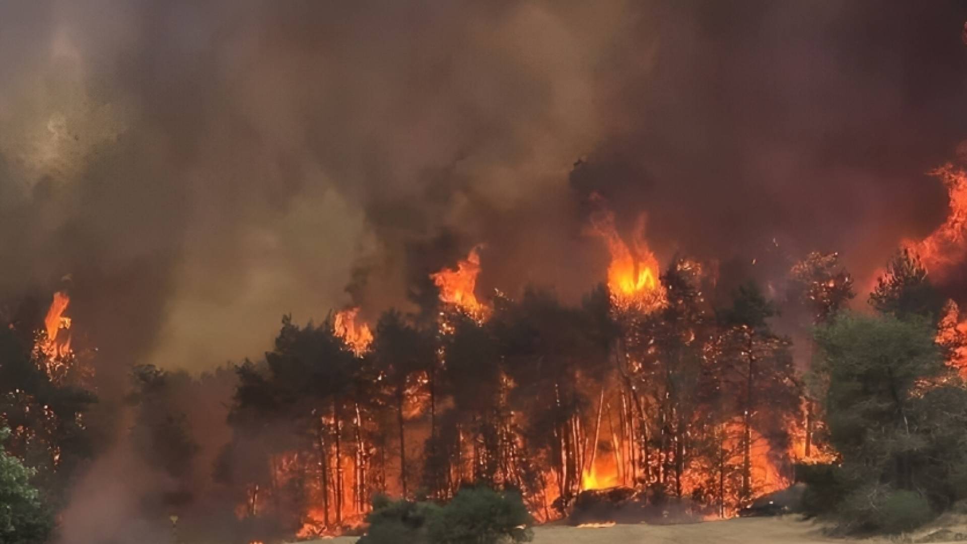 استعال حرائق في القدس المحتلة