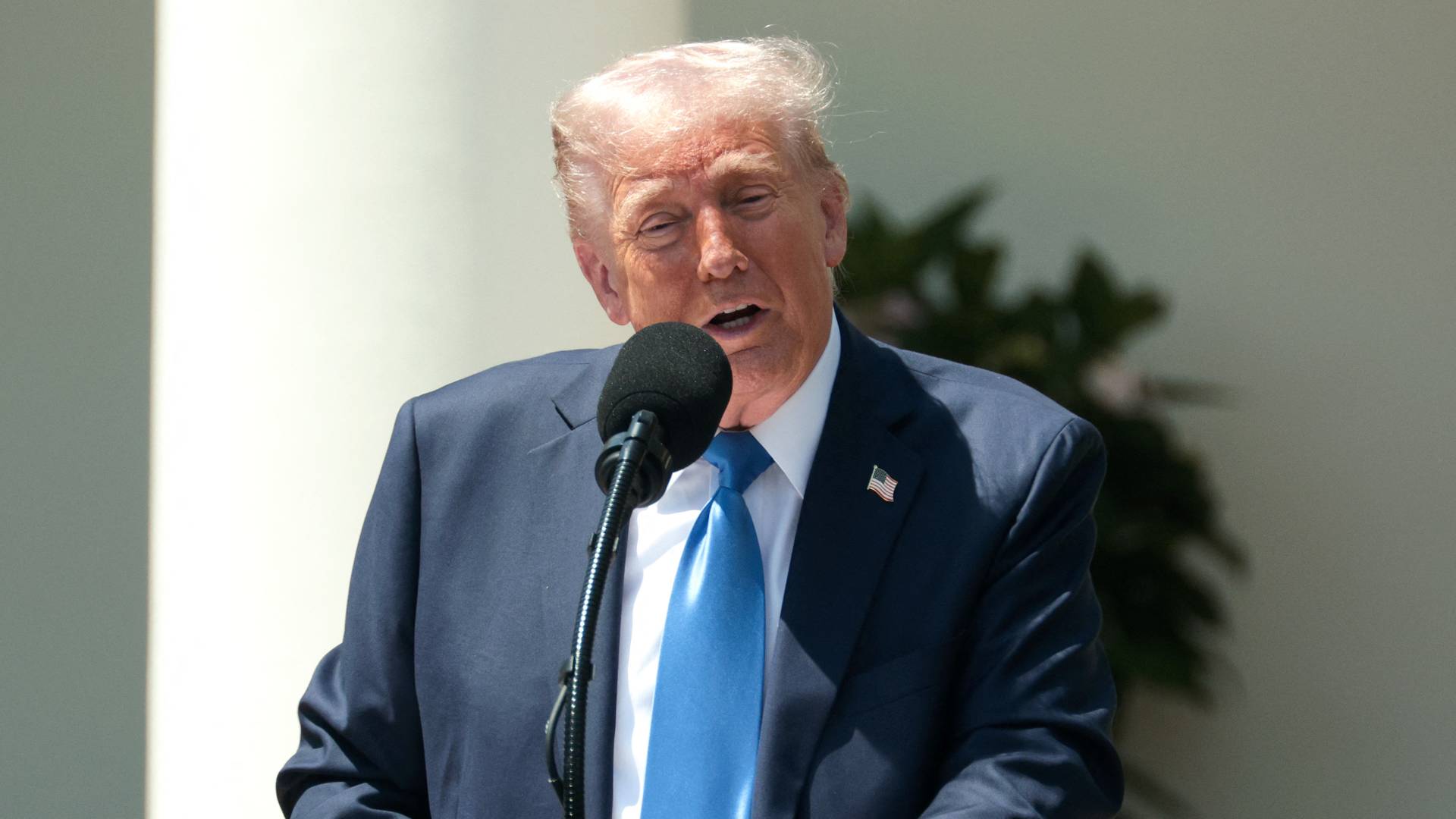 الرئيس الأمريكي دونالد ترمب