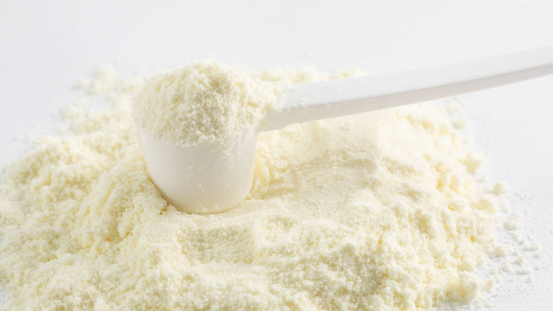 حليب البودرة