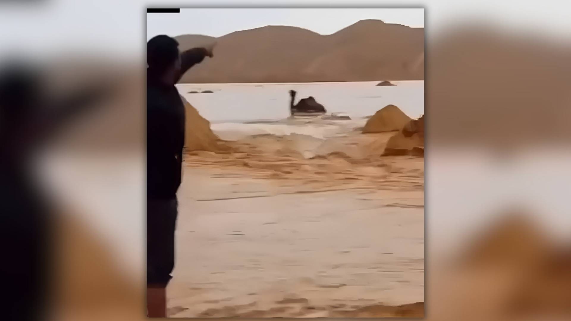 سيول في منطقة الحسا