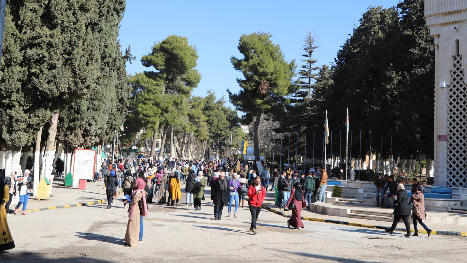 طلبة جامعيون