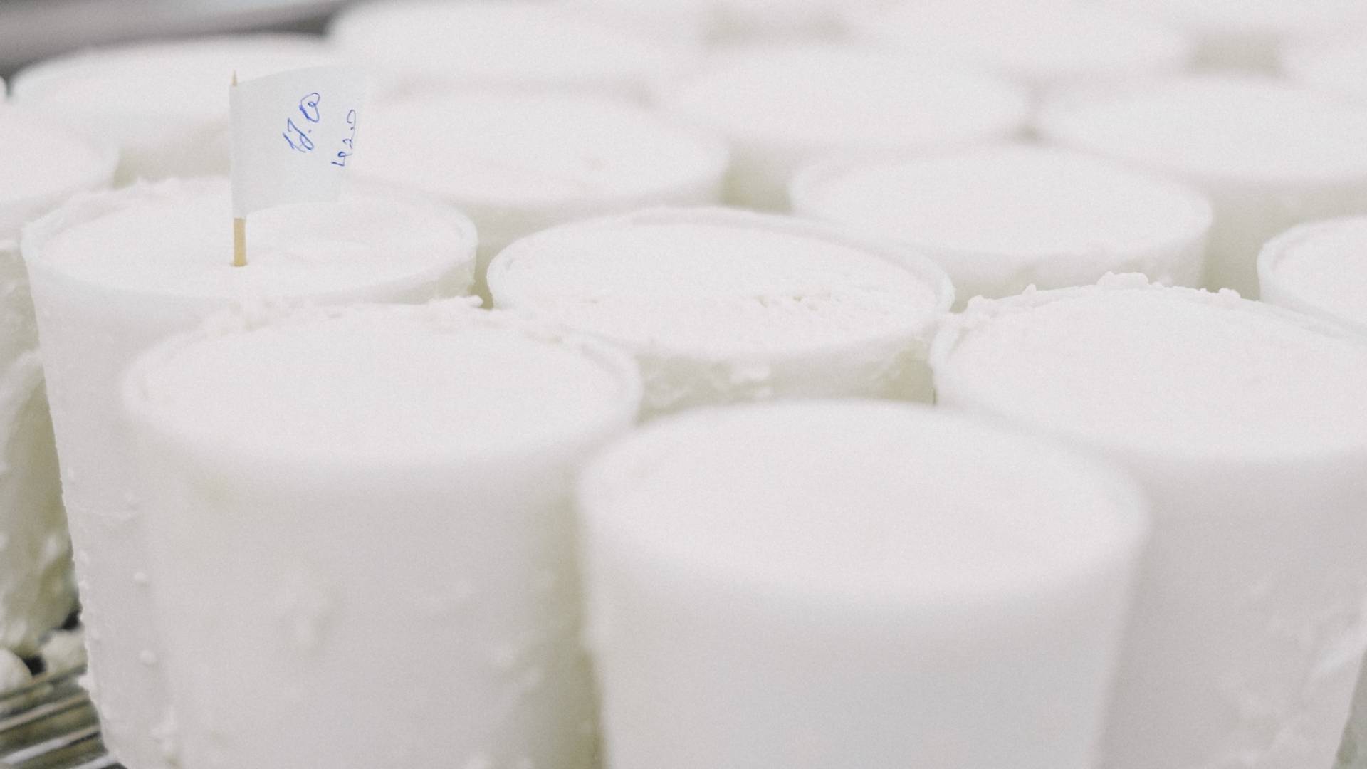 ألبان "تعبيرية"