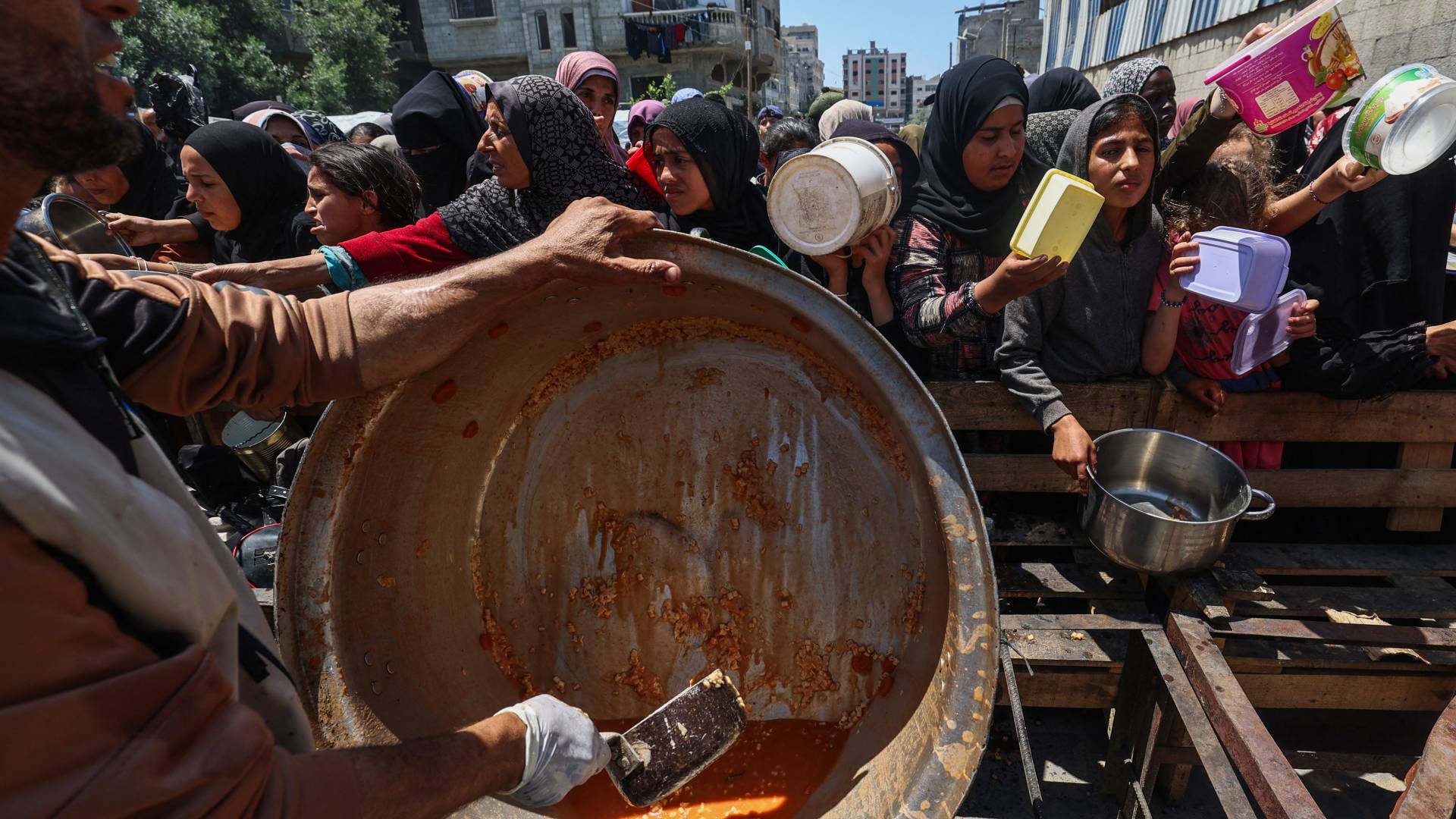 توزيع الطعام في قطاع غزة