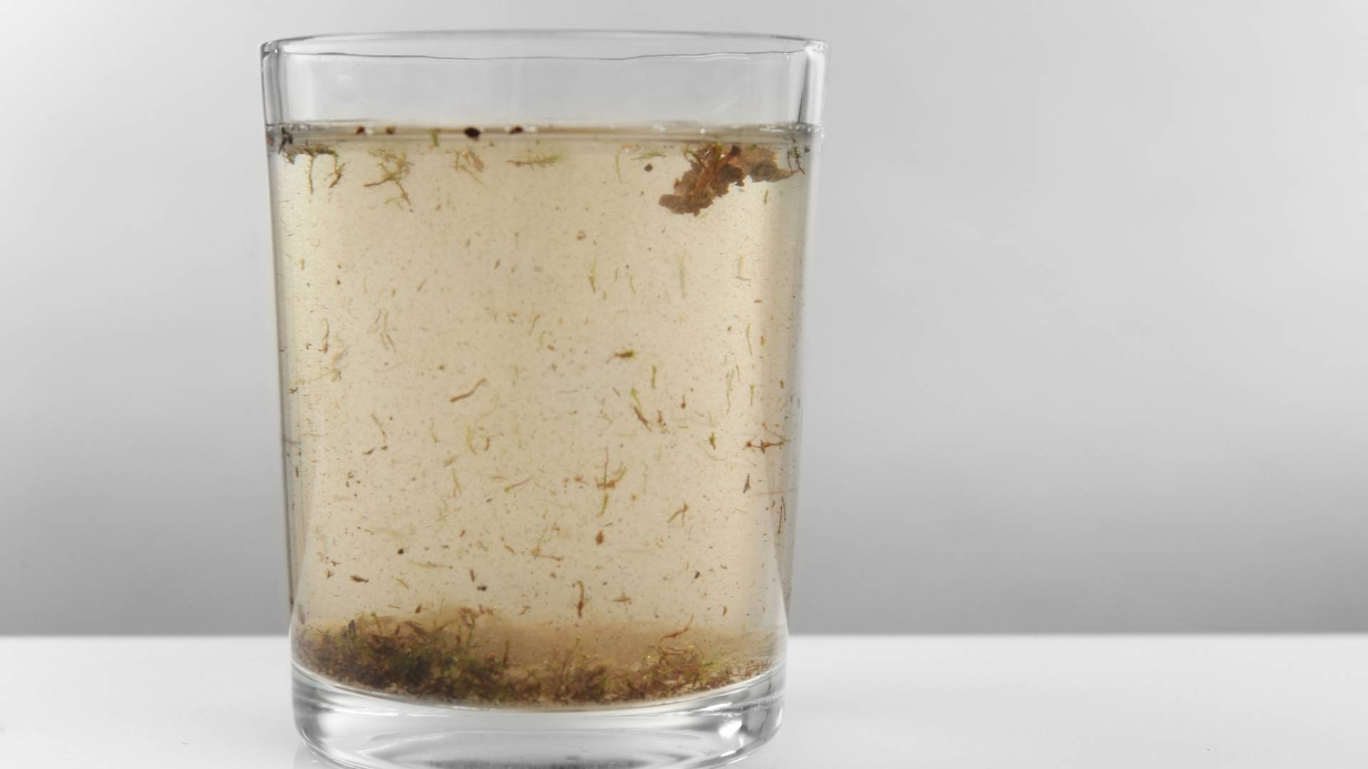 مياه ملوثة - تعبيرية