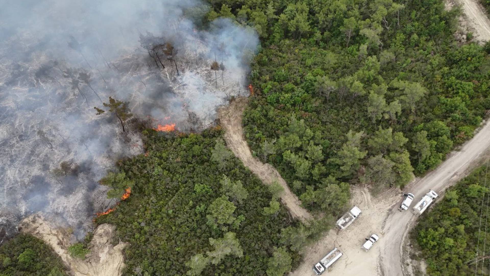 حرائق اللاذقية