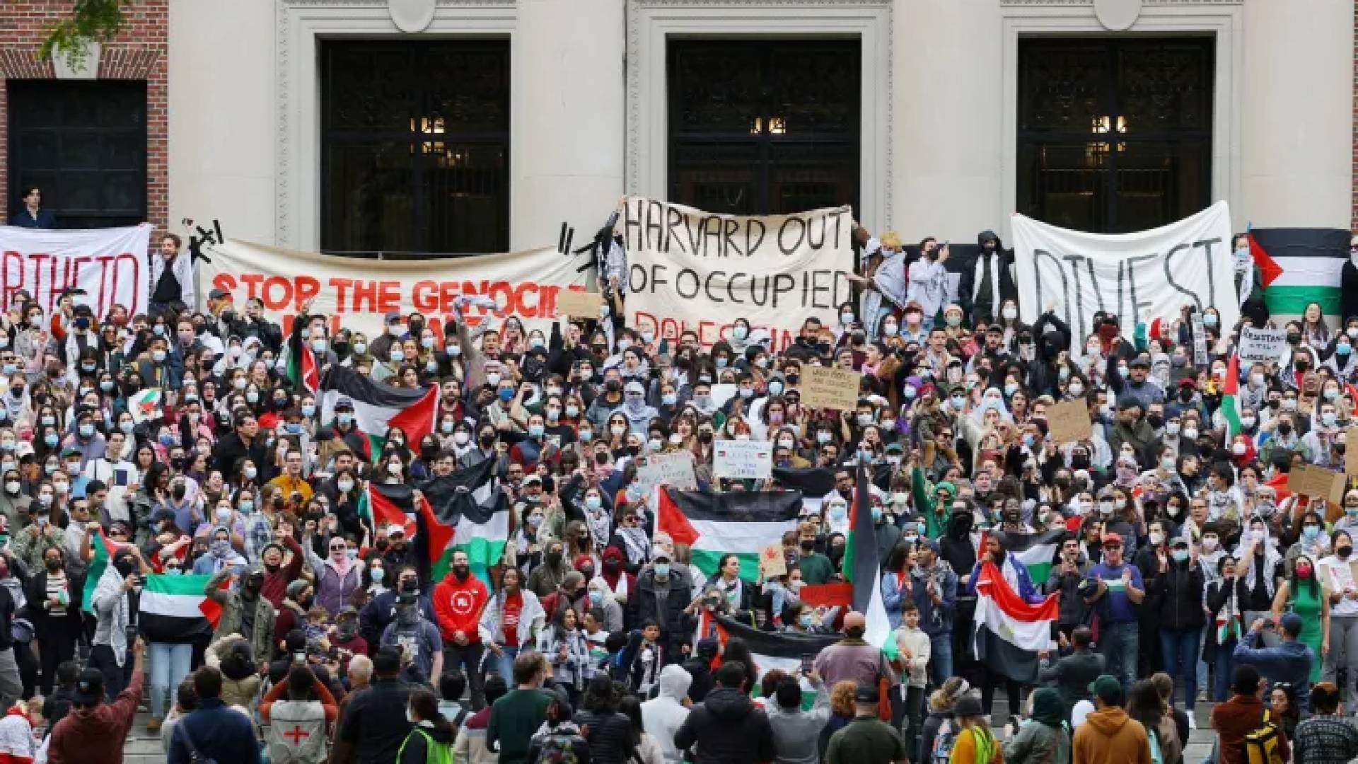 جامعة هارفارد الأمريكية