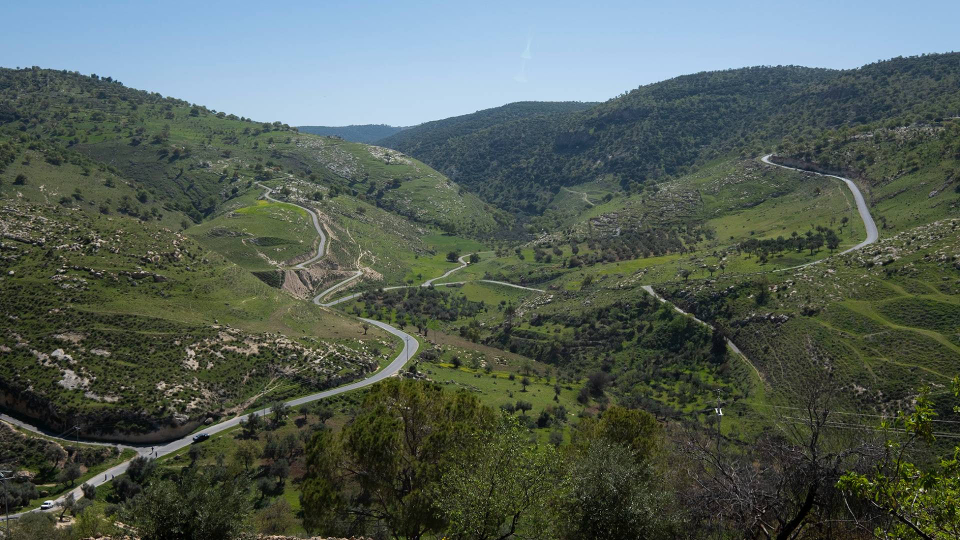 وادي النوم - عجلون