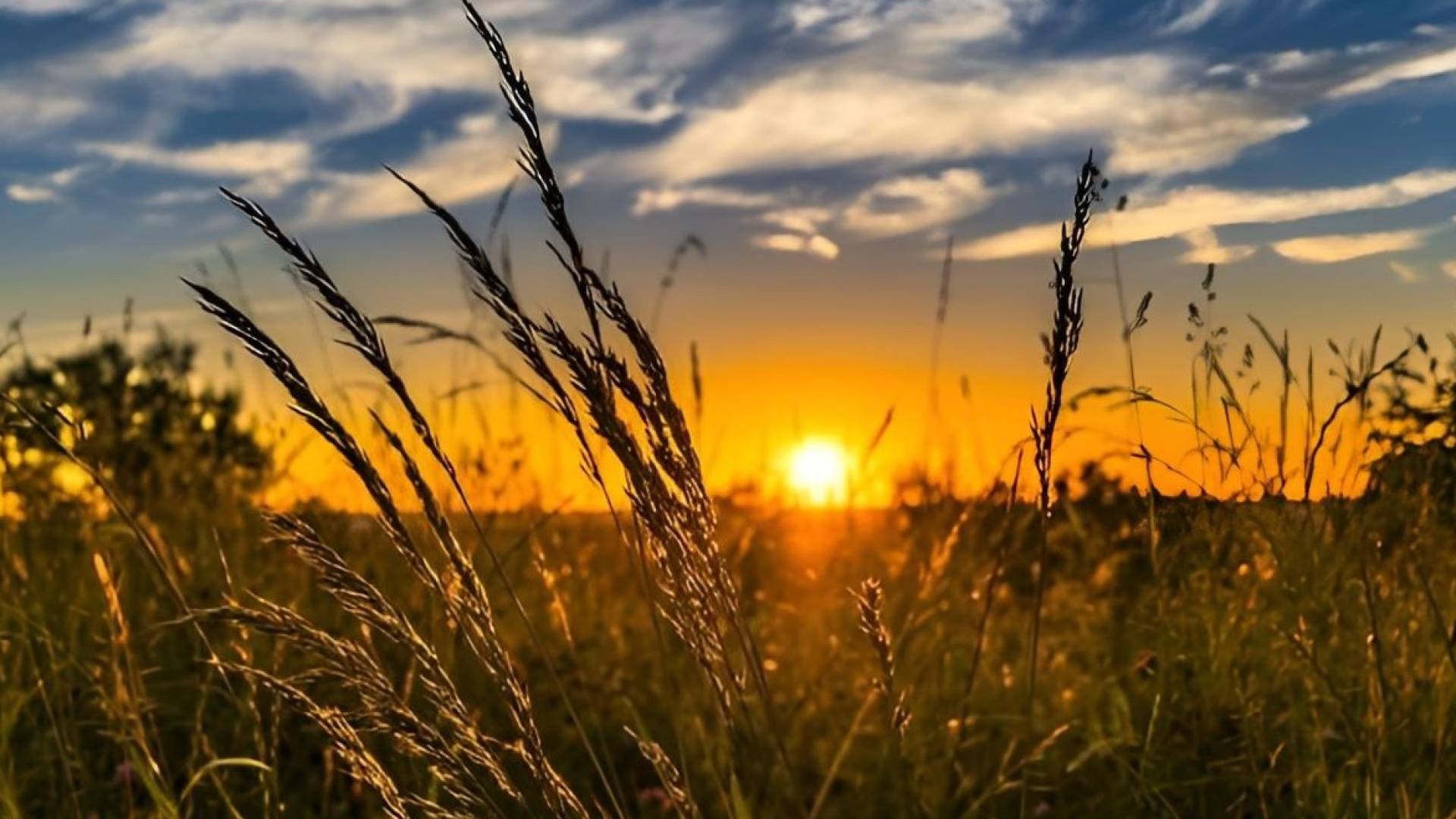 أجواء مشمسة - تعبيرية