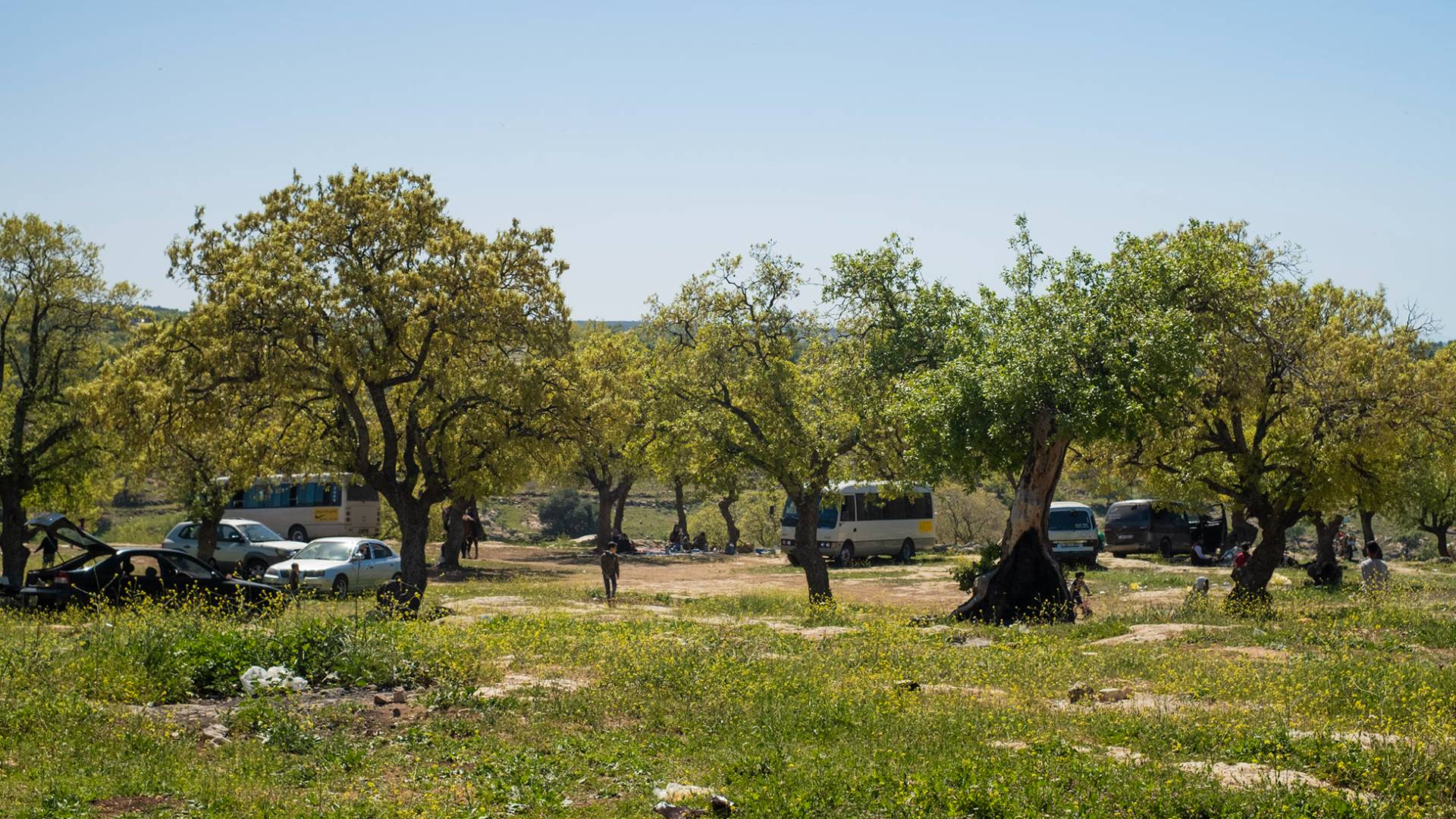 التنزه في الأردن - تعبيرية