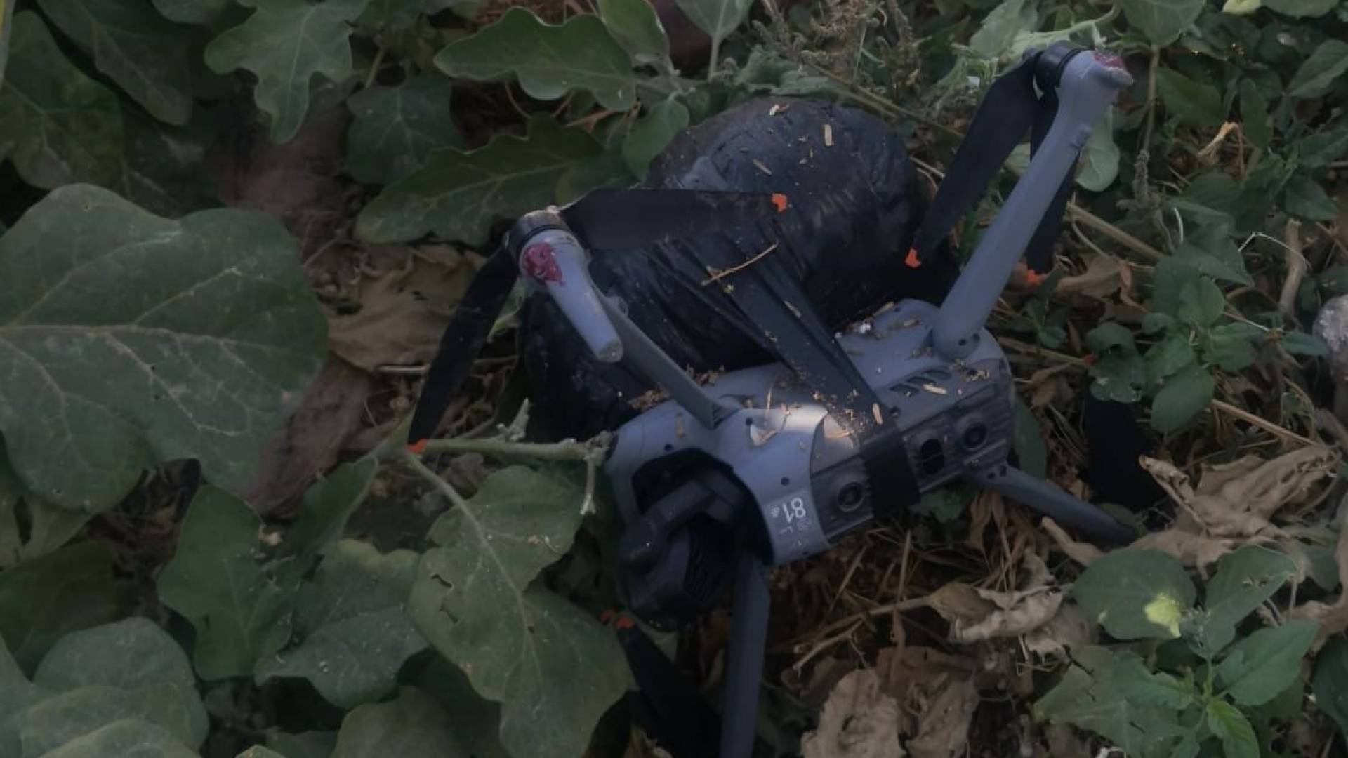 احباط محاولة تهريب مواد مخدرة