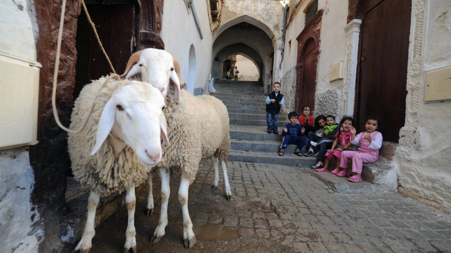 تحديد موعد عيد الأضحى المبارك 2025 فلكيا.. تفاصيل