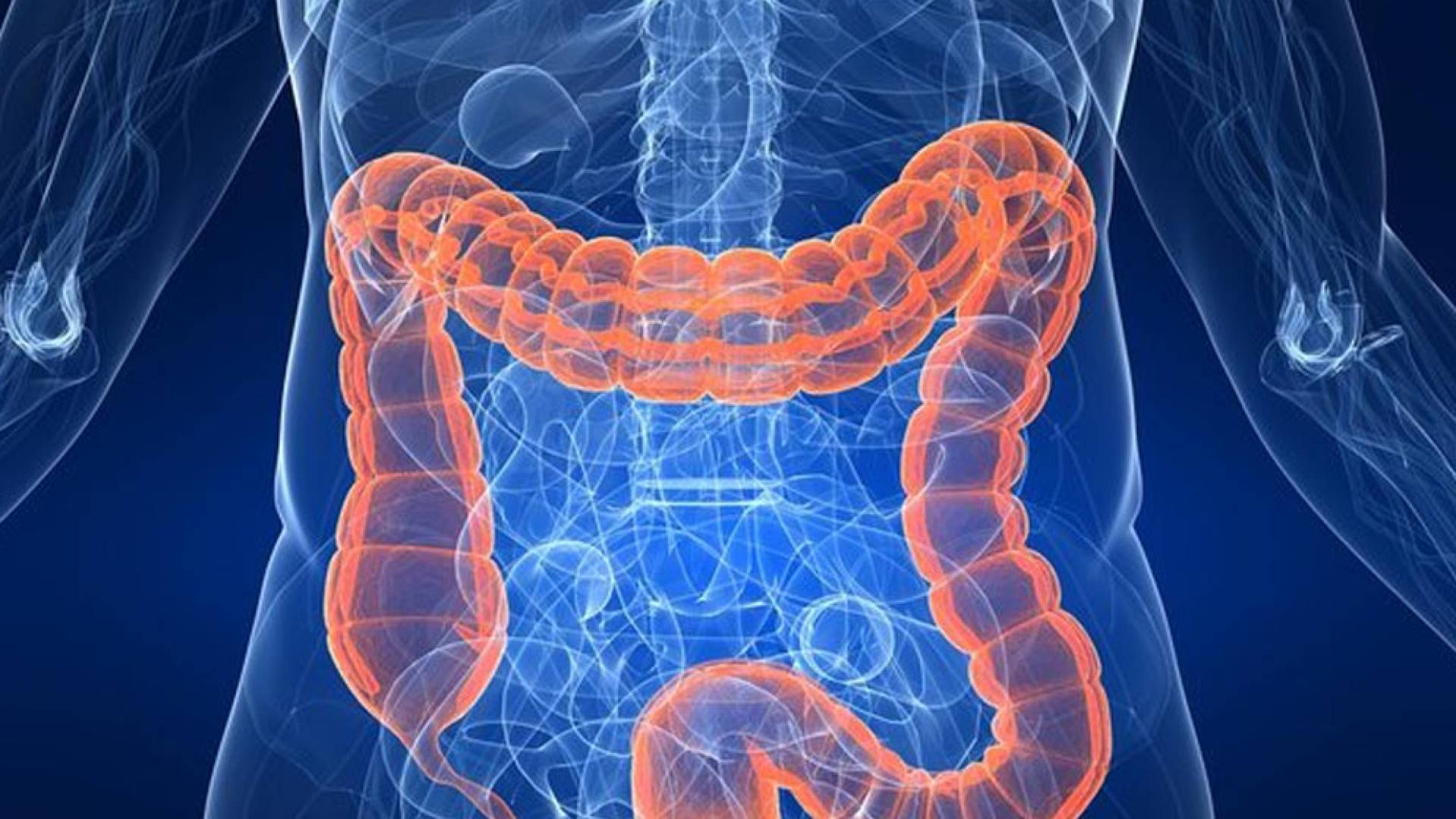 فاكهة الصيف وصحة الجهاز الهضمي.. أبرز الأطعمة التي تعزز الهضم وتخفف الانتفاخ