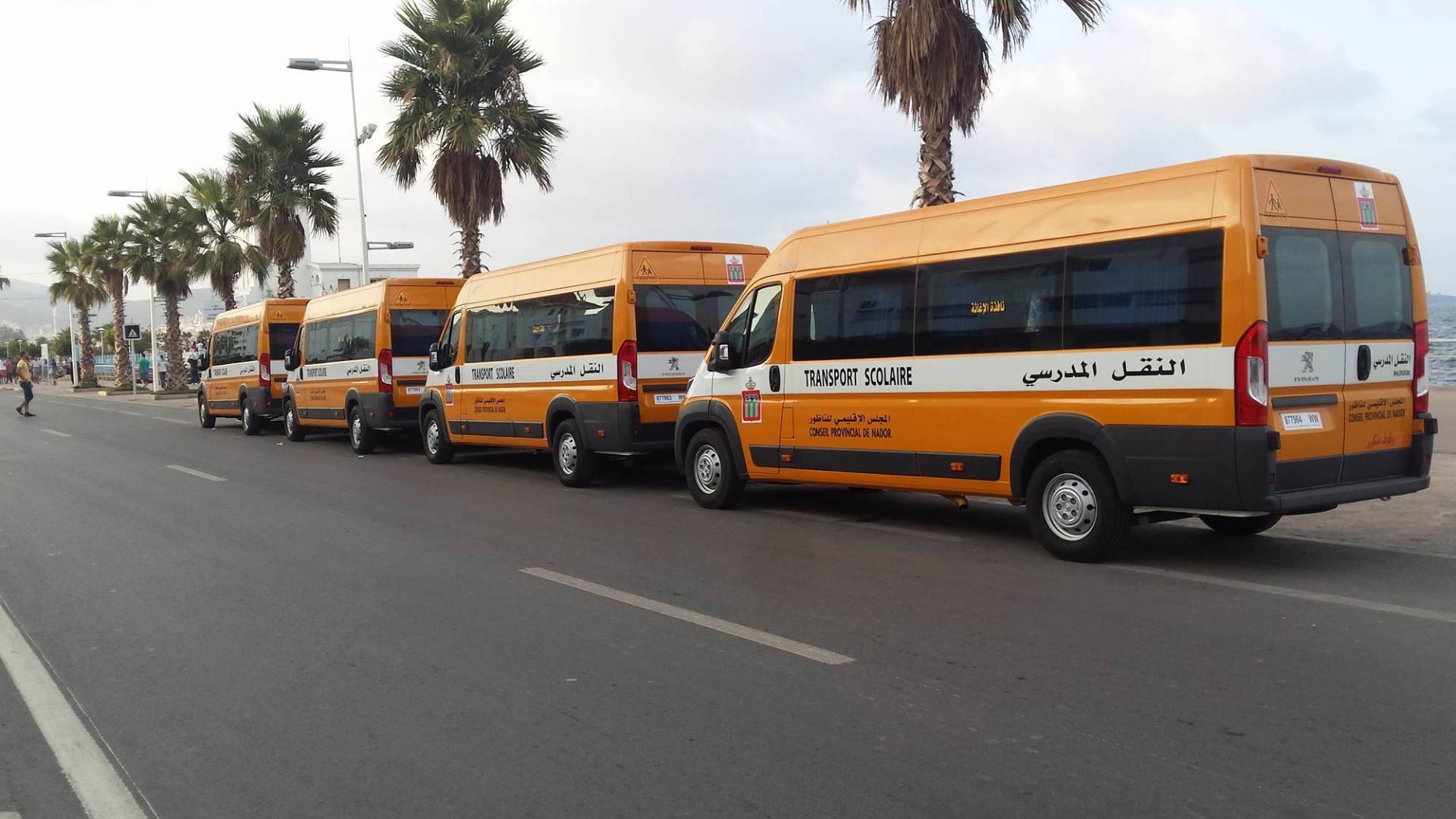 حافلة مدرسية - تعبيرية