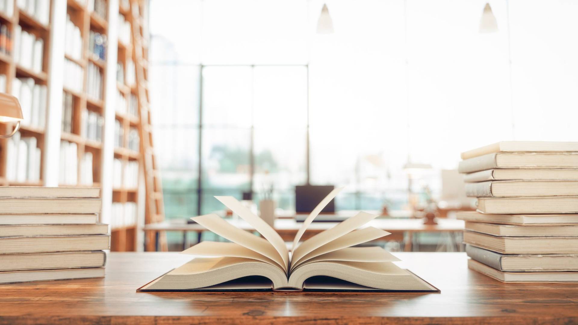 صورة تظهر كتبا