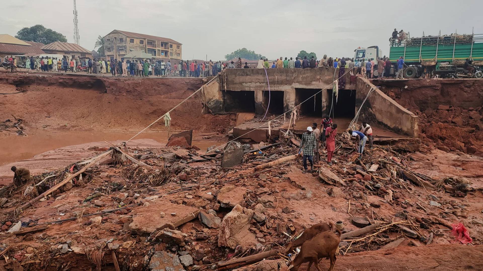 فيضانات في نيجيريا