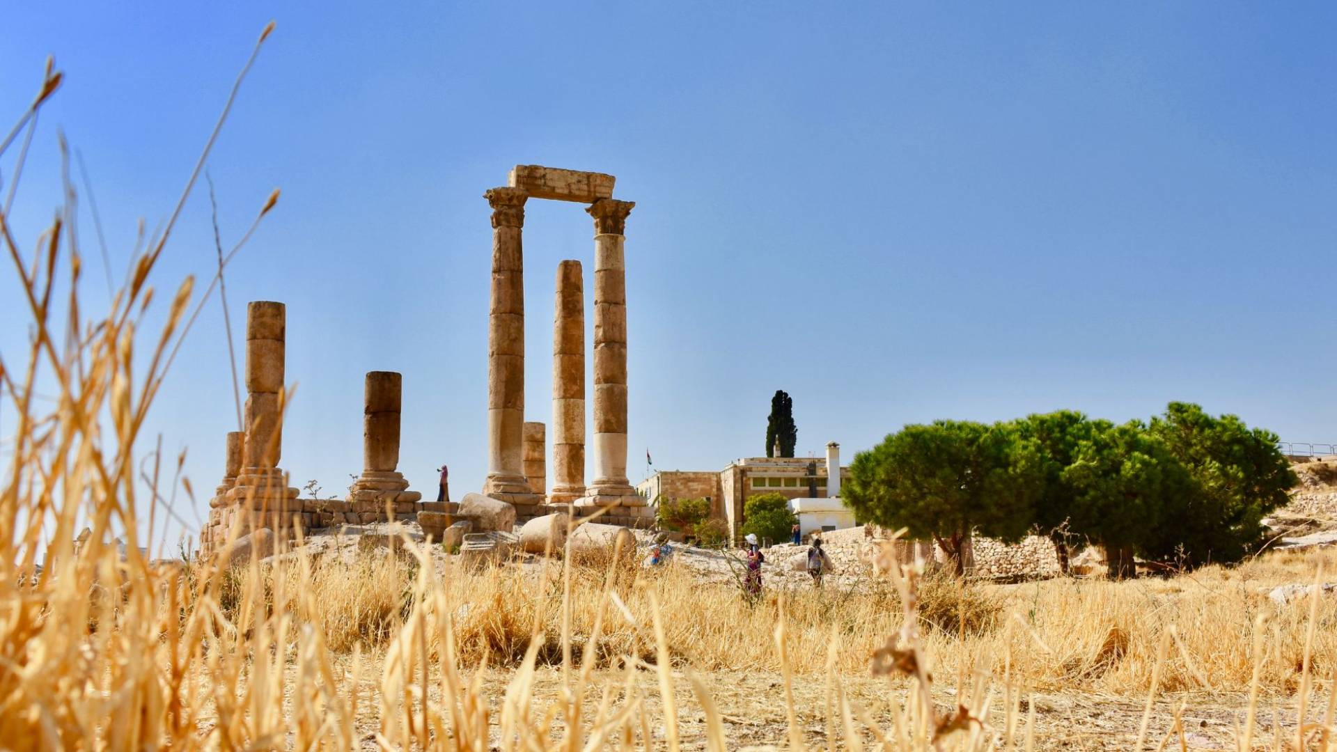 اجواء صيفية