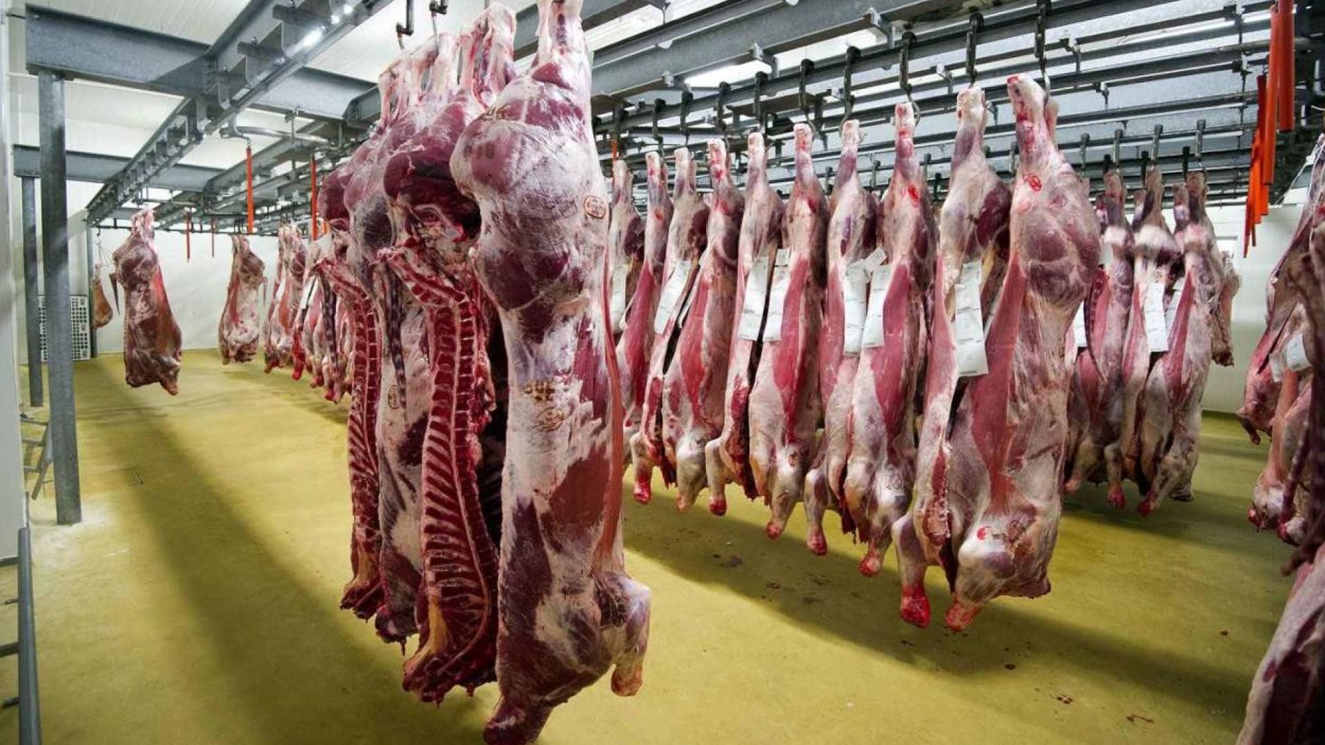 المسالخ في عمان