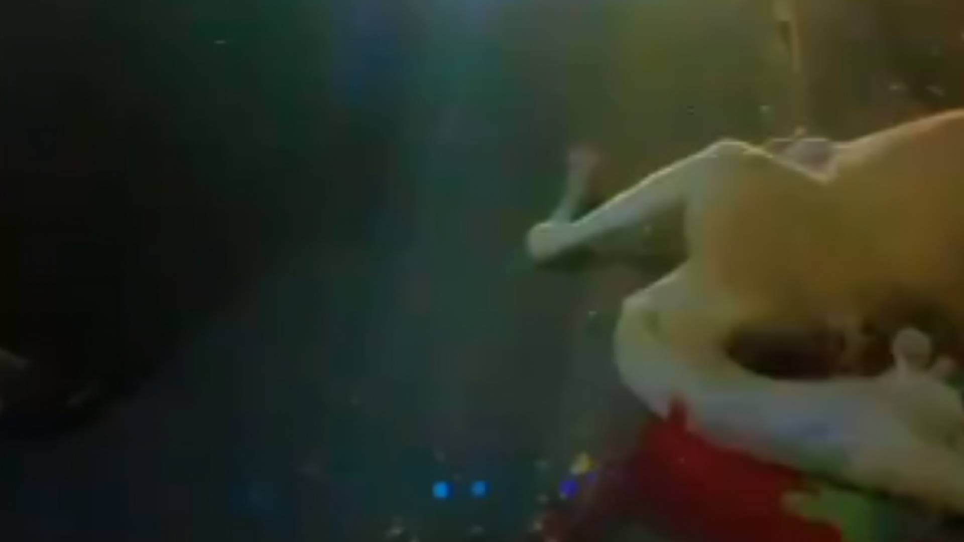 إصابات لعائلة ونفوق جملين إثر حادث صدم على طريق العقبة