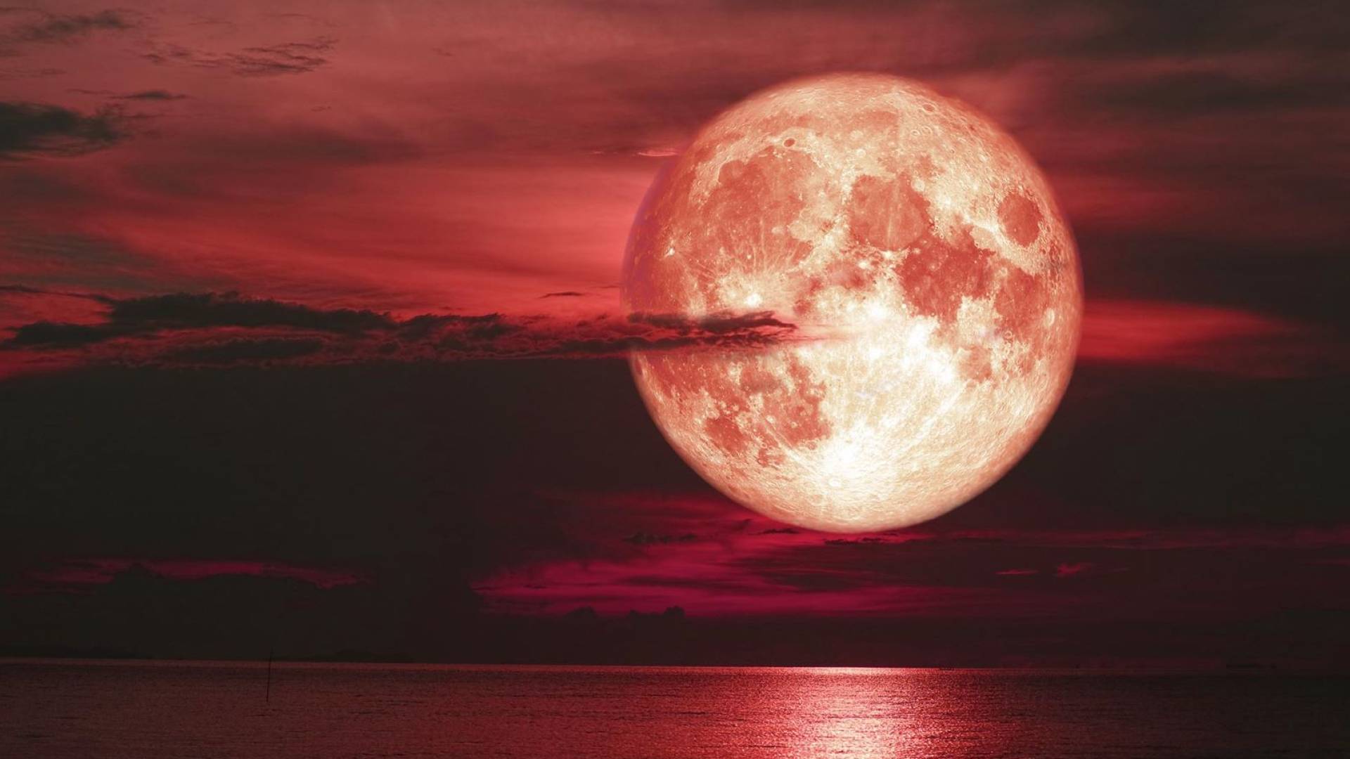 بدر حزيران.. حدث فلكي نادر فوق سماء الأردن الأربعاء