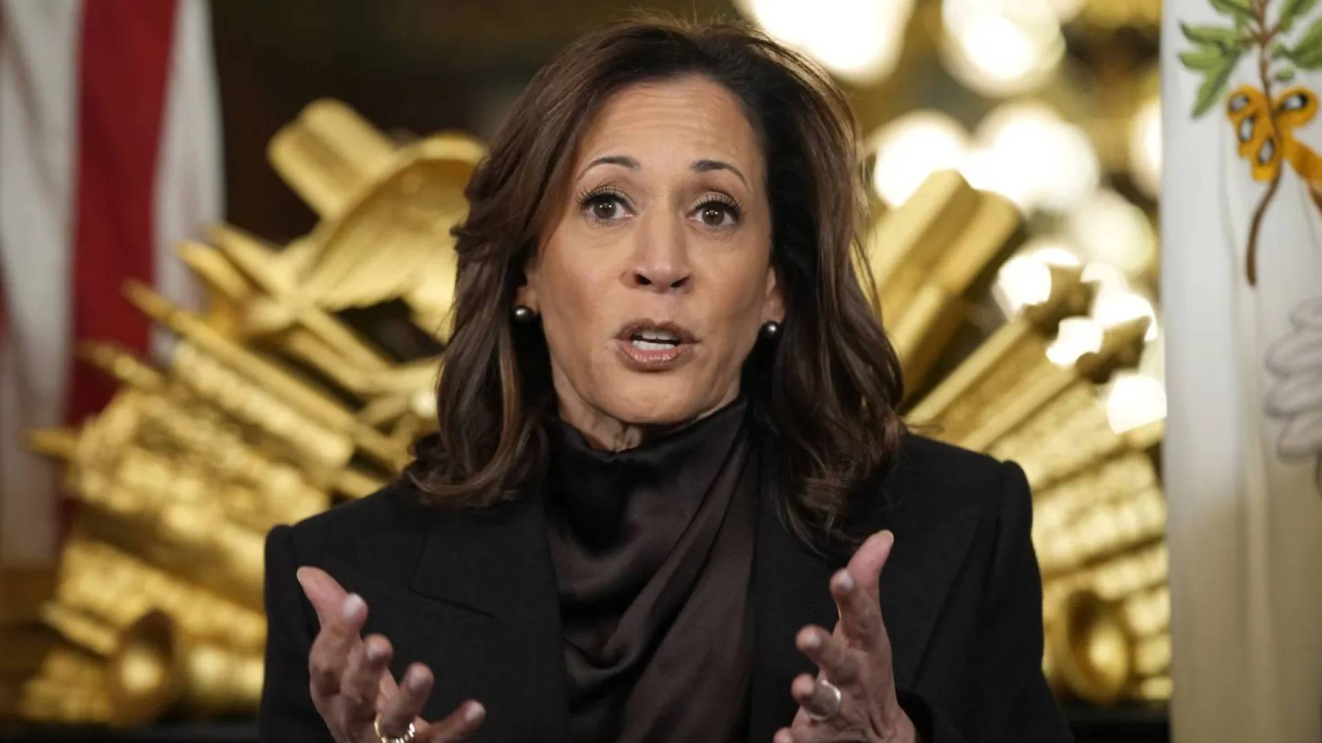 نائبة الرئيس السابقة كامالا هاريس