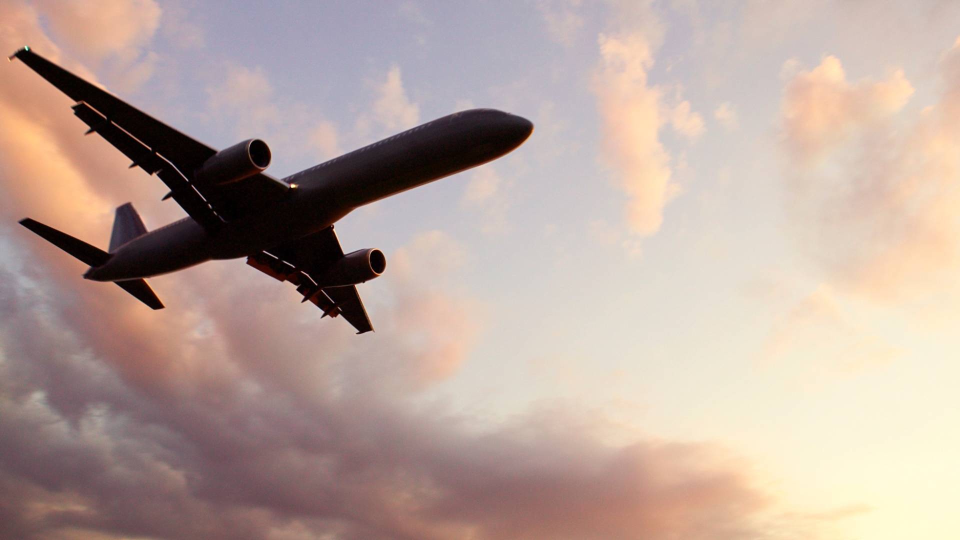 طائرة في السماء